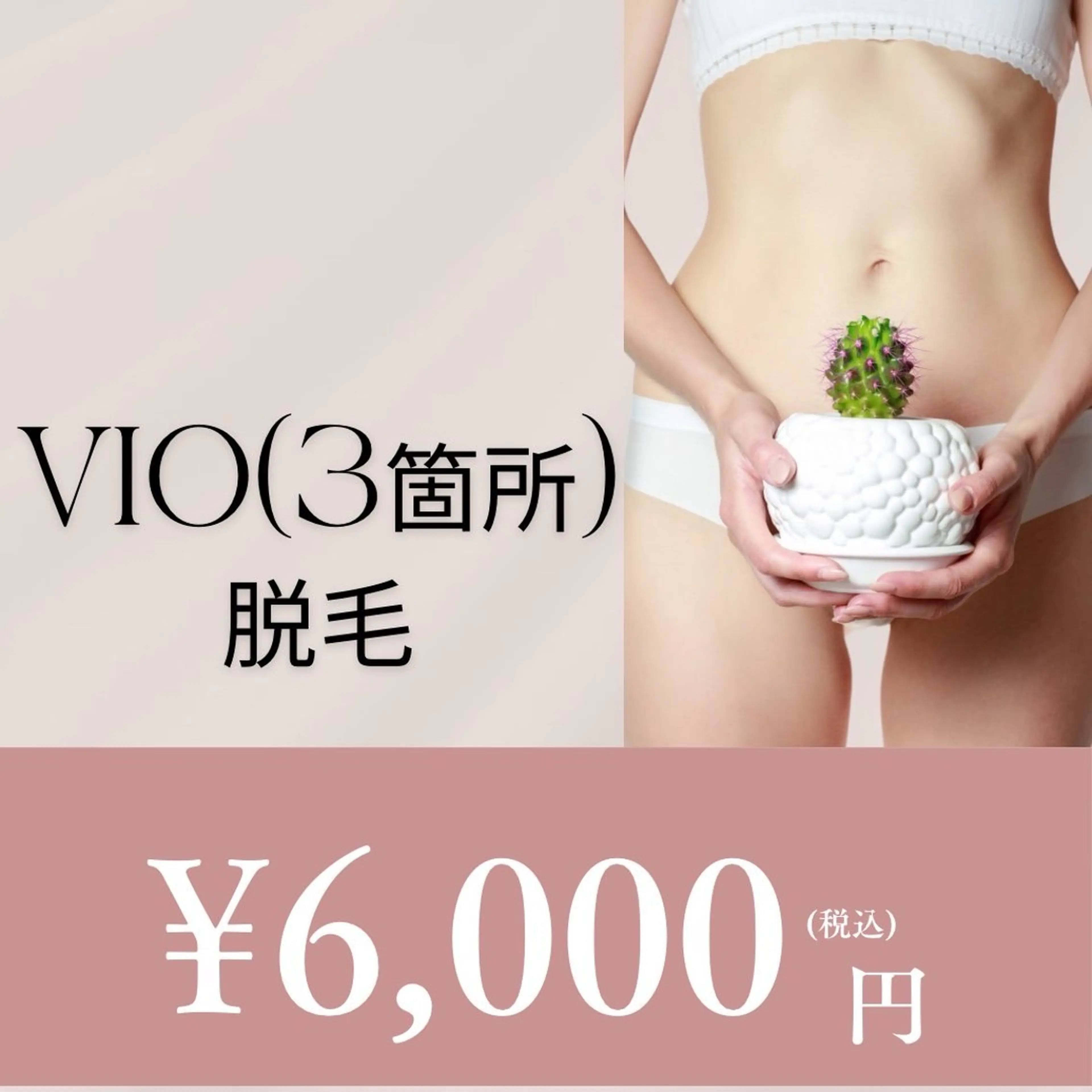 【女性】🌷VIO(3箇所)🌷の写真