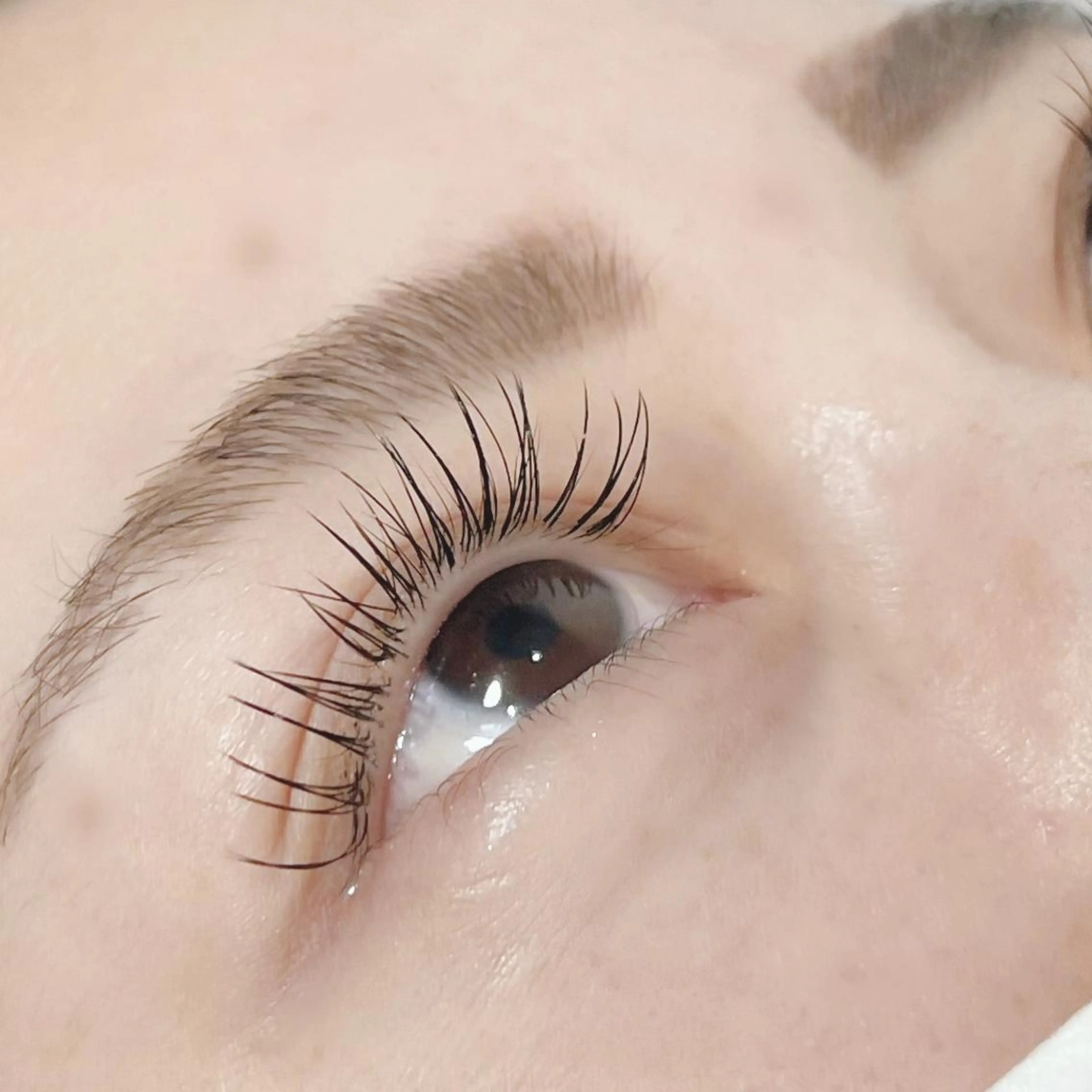 マツエク・マツパ Blanc 橿原 ムラオカの眉毛・アイブロウイメージ