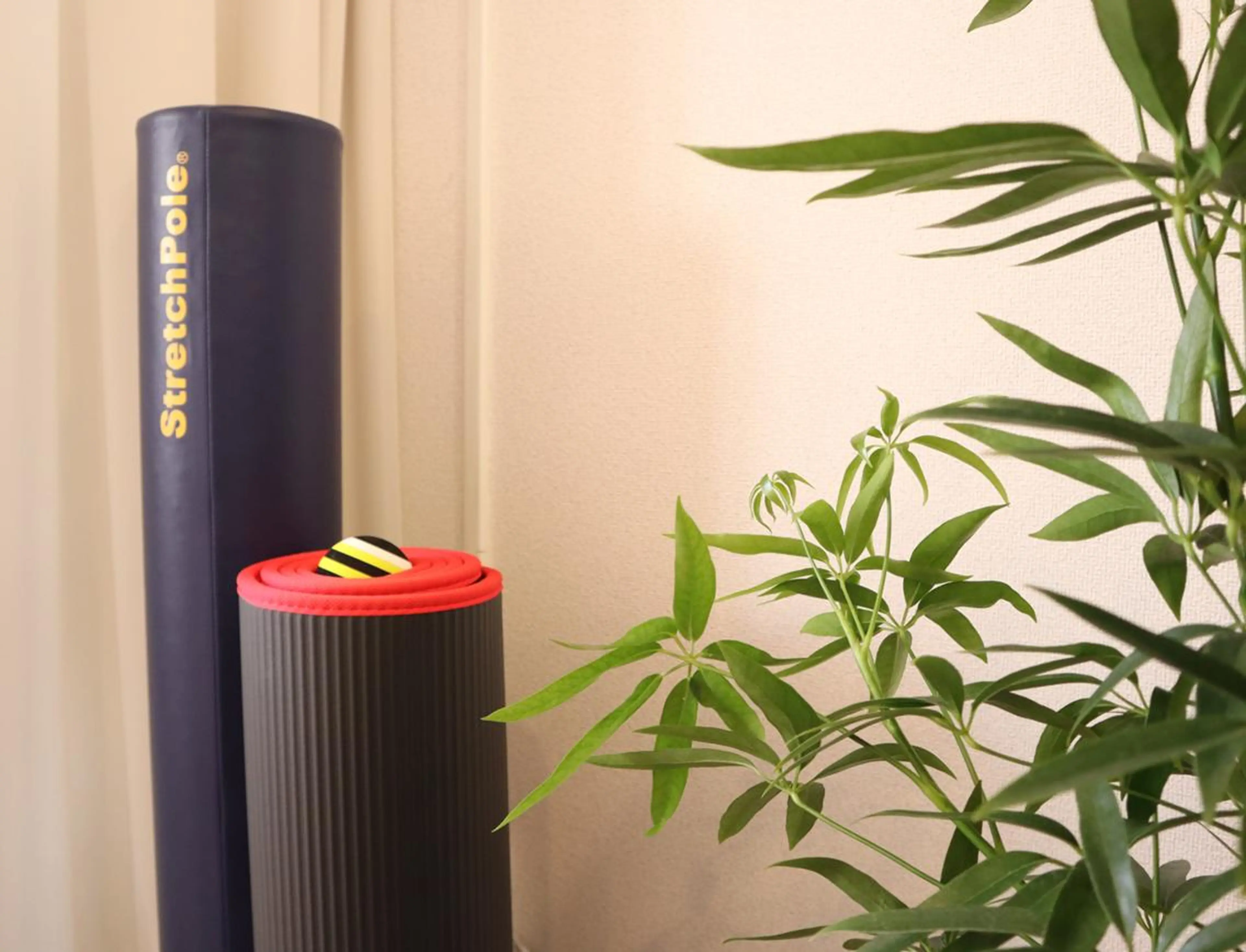 ✨姿勢改善✨ リノ整体院のエステ・リラクイメージ