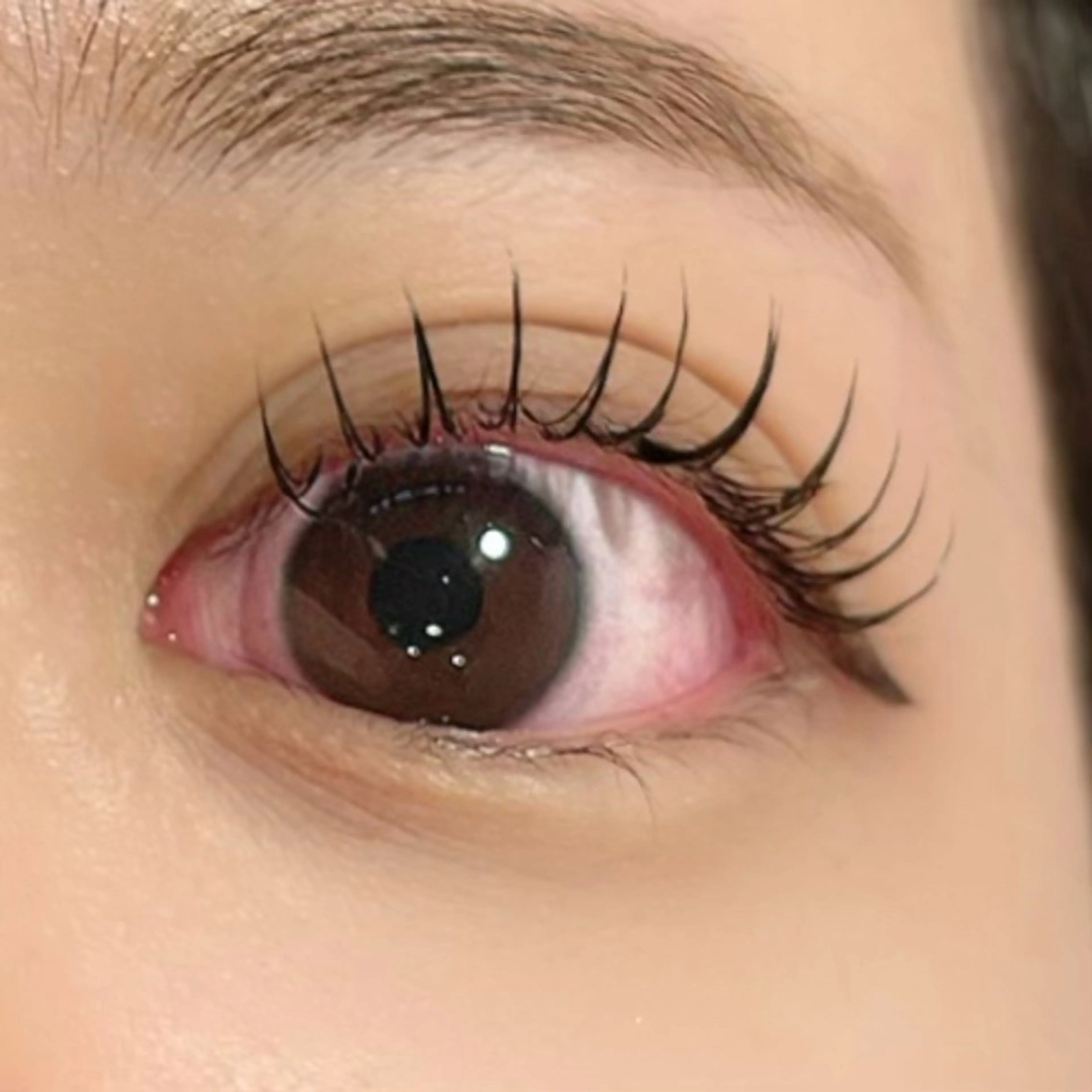 【ご新規様限定🕊️】フラットラッシュ100本（オフ込み・お仕上げコーティング）の写真