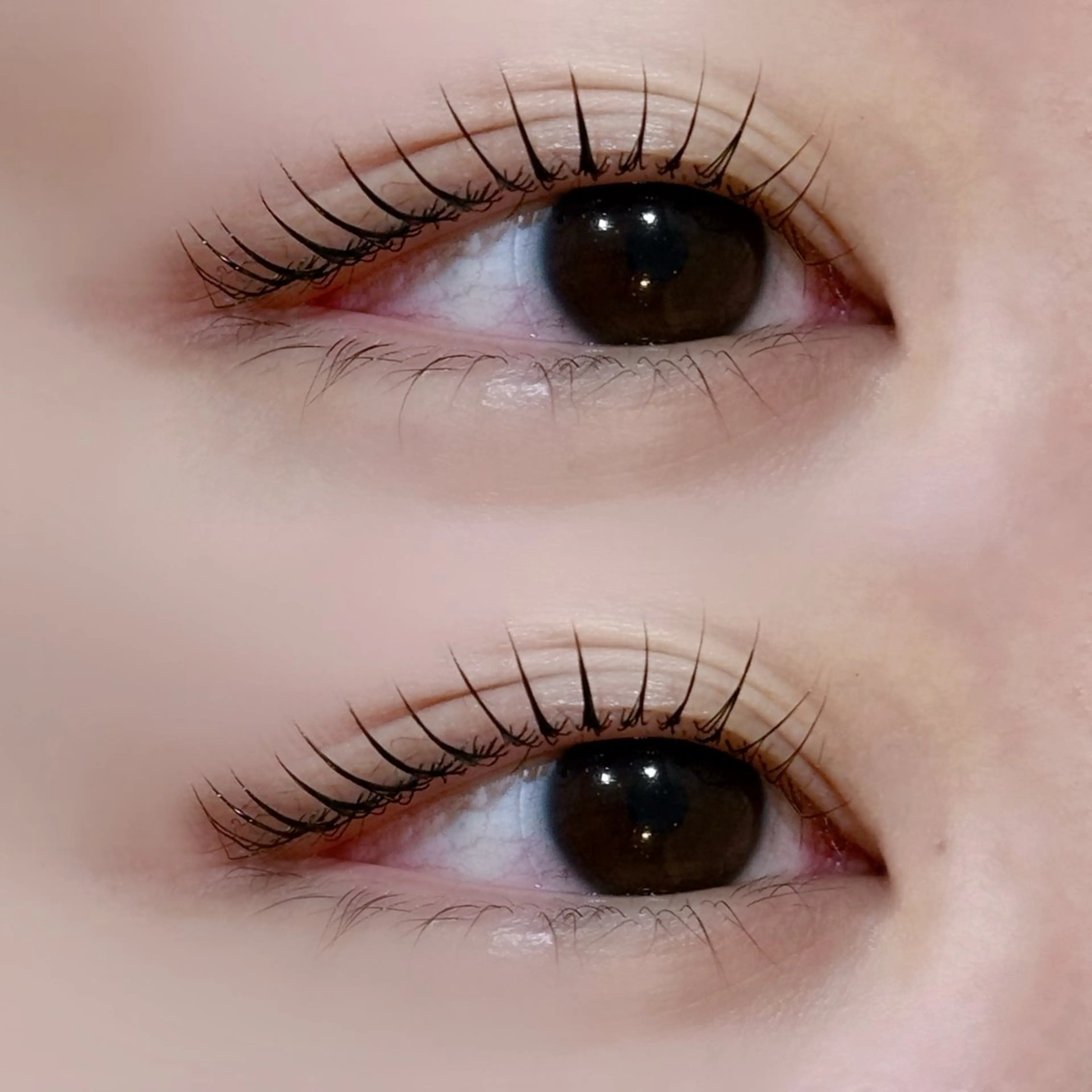 マツエク・マツパ 束感まつ毛 マツパ EYELA 🪐ホリモト🪐のマツエク・マツパデザイン
