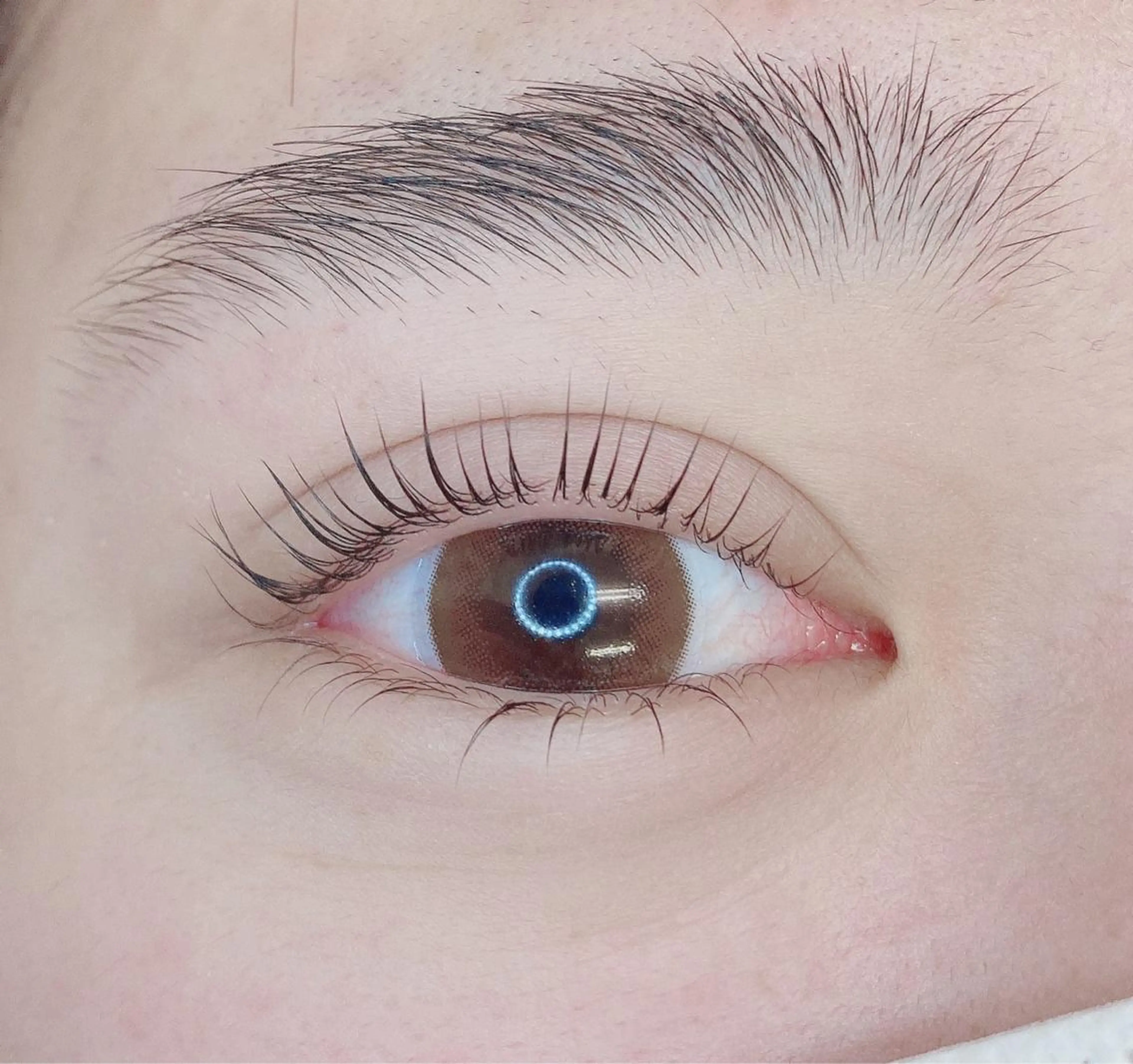 マツエク・マツパ TIARA池袋西口店 店長YASUKA💐のマツエク・マツパデザイン