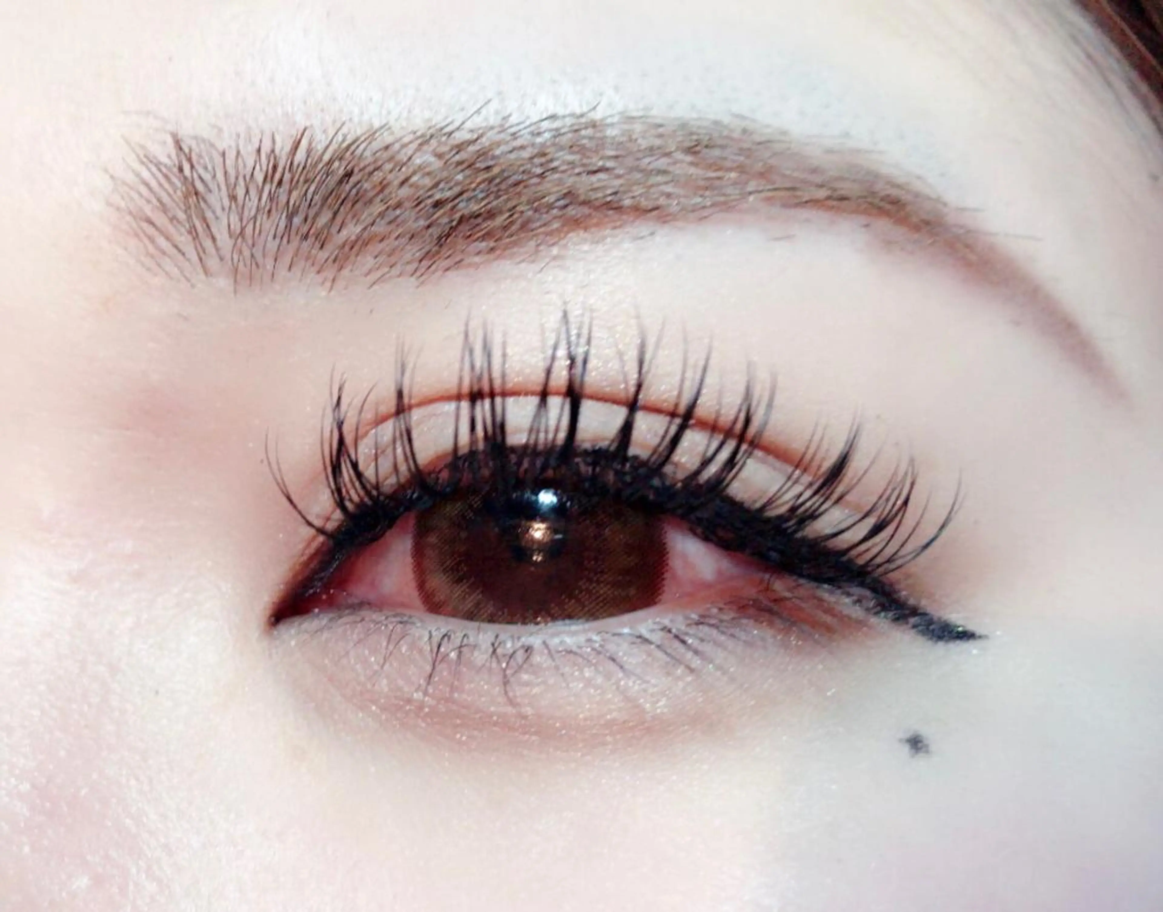 マツエク・マツパ 束感まつ毛 Cカール Neale. yumiのヘアスタイル