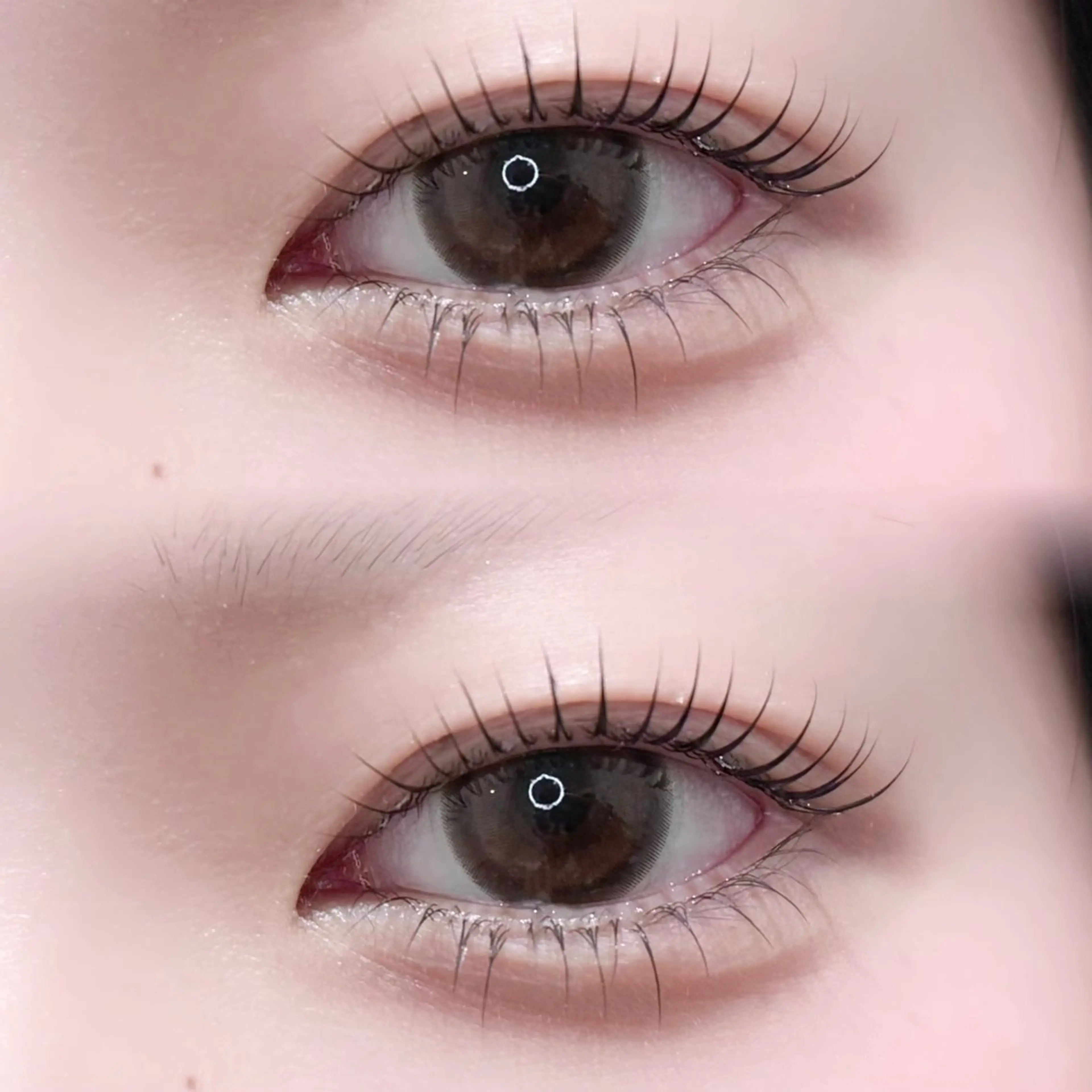 マツエク・マツパ 下まつげエクステ 一重×まつ毛パーマ Chaton  ♡ KIRIKOSHIのマツエク・マツパデザイン