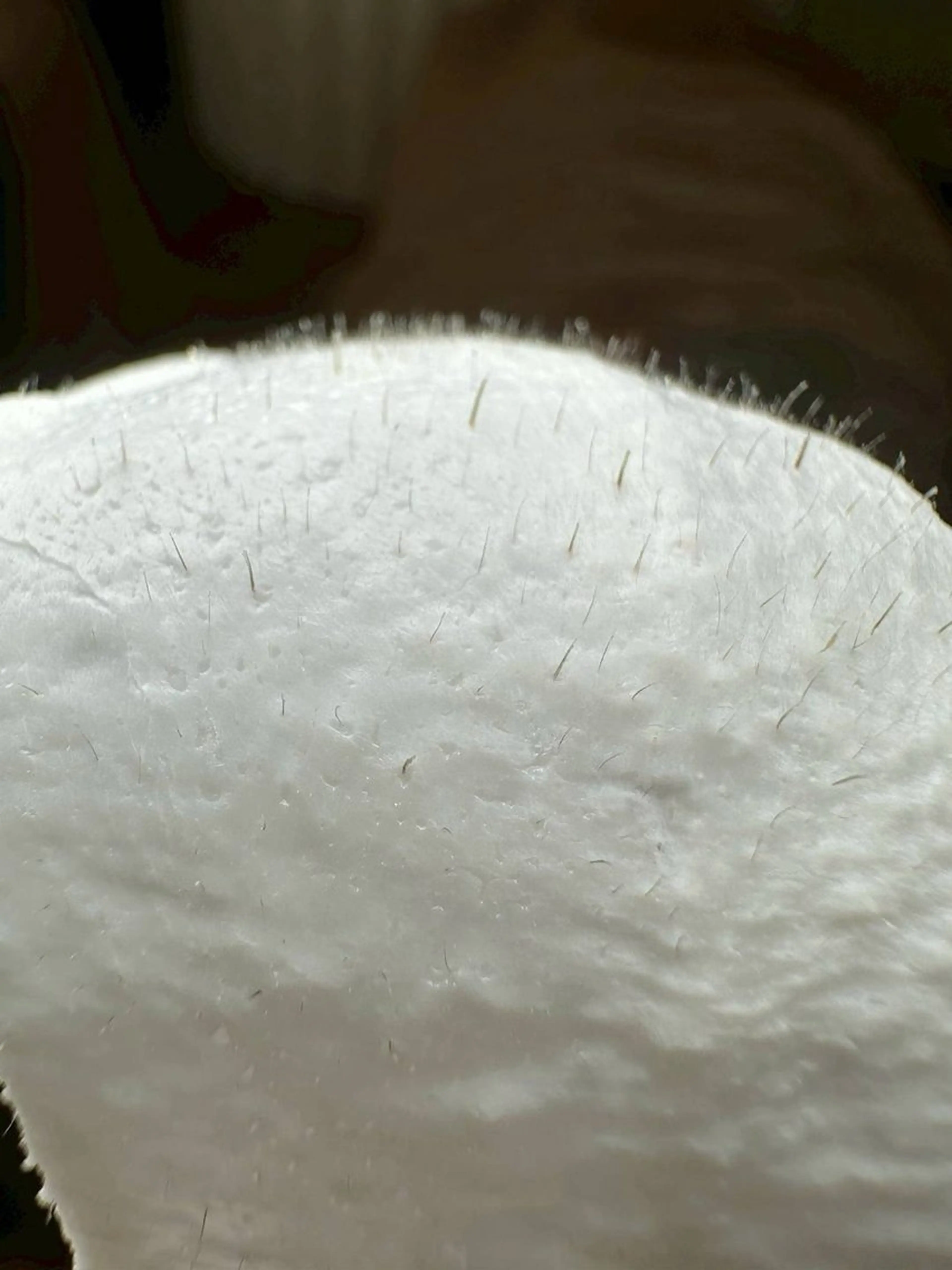 schön所属・schön 松井のエステ・リラクイメージ