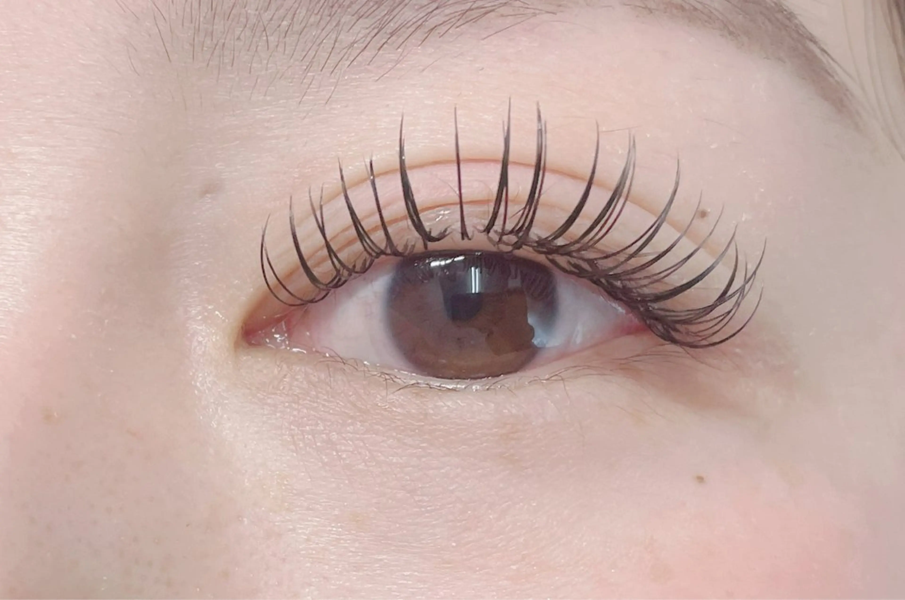 フラットラッシュ120本（コーティング仕上げ付き）の写真