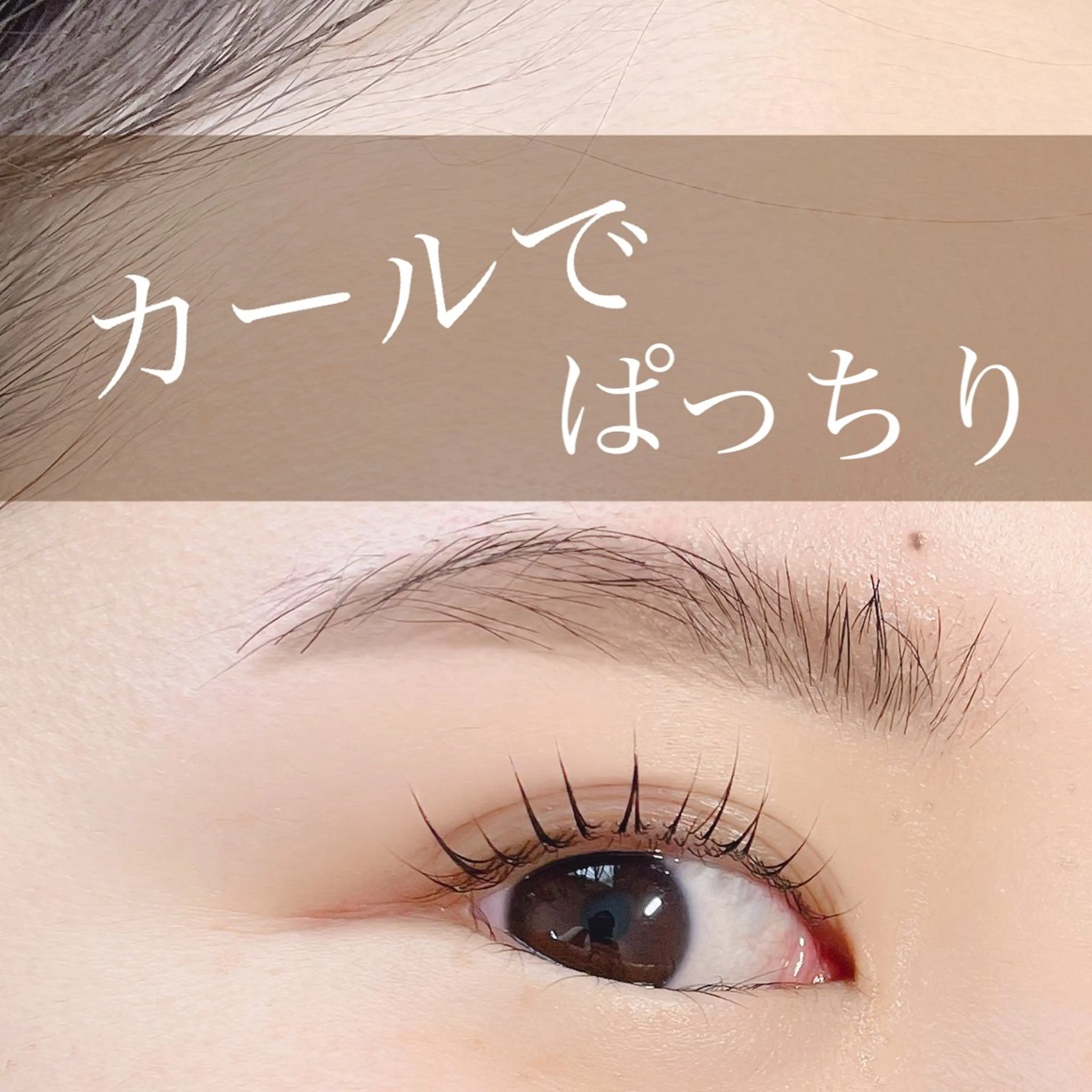 マツエク・マツパ マツパ N.natura所属・五藤 なみのマツエク・マツパデザイン