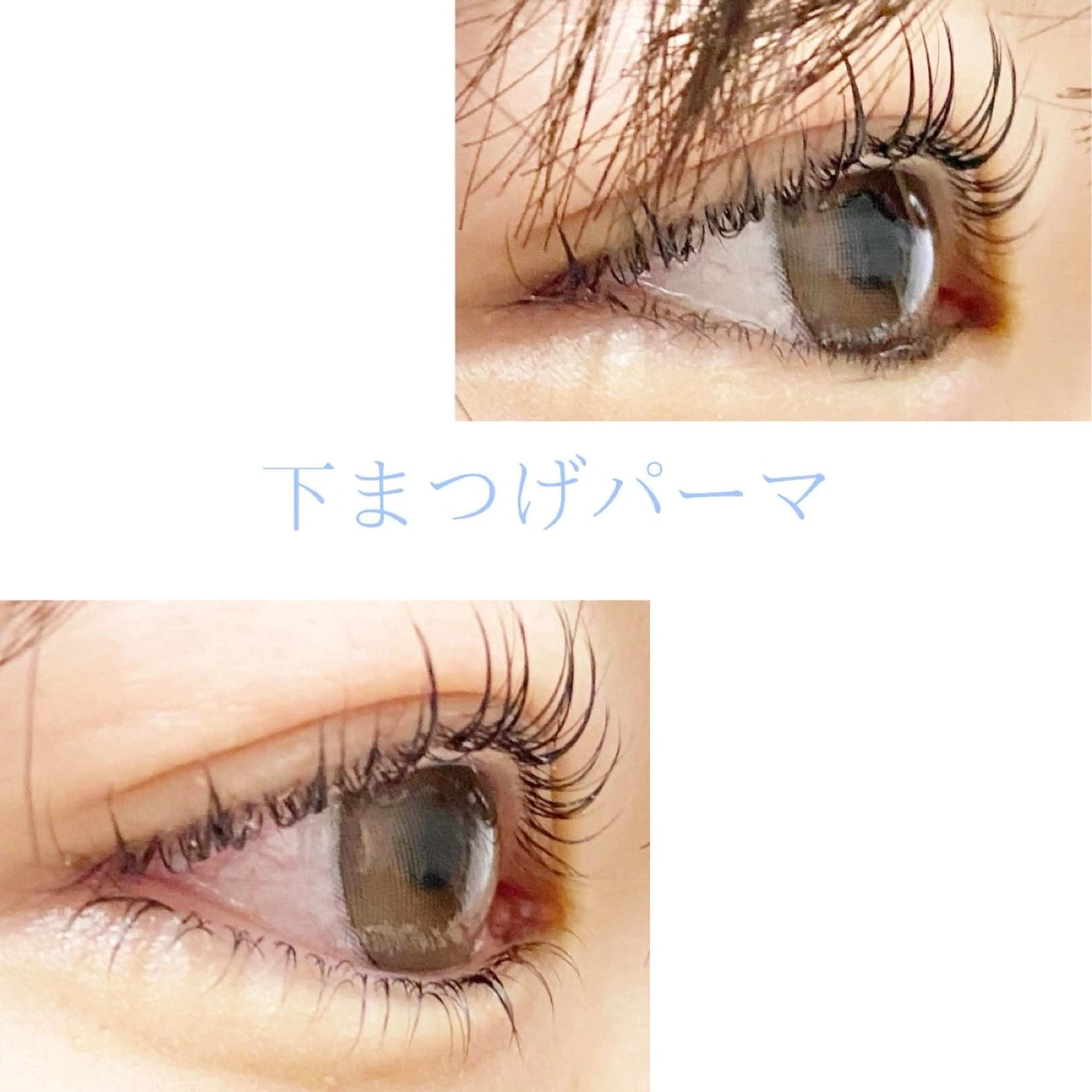 マツエク・マツパ まつげパーマ 下まつげエクステ LC尾張旭店所属・LC尾張旭店🫧 いしいのマツエク・マツパデザイン