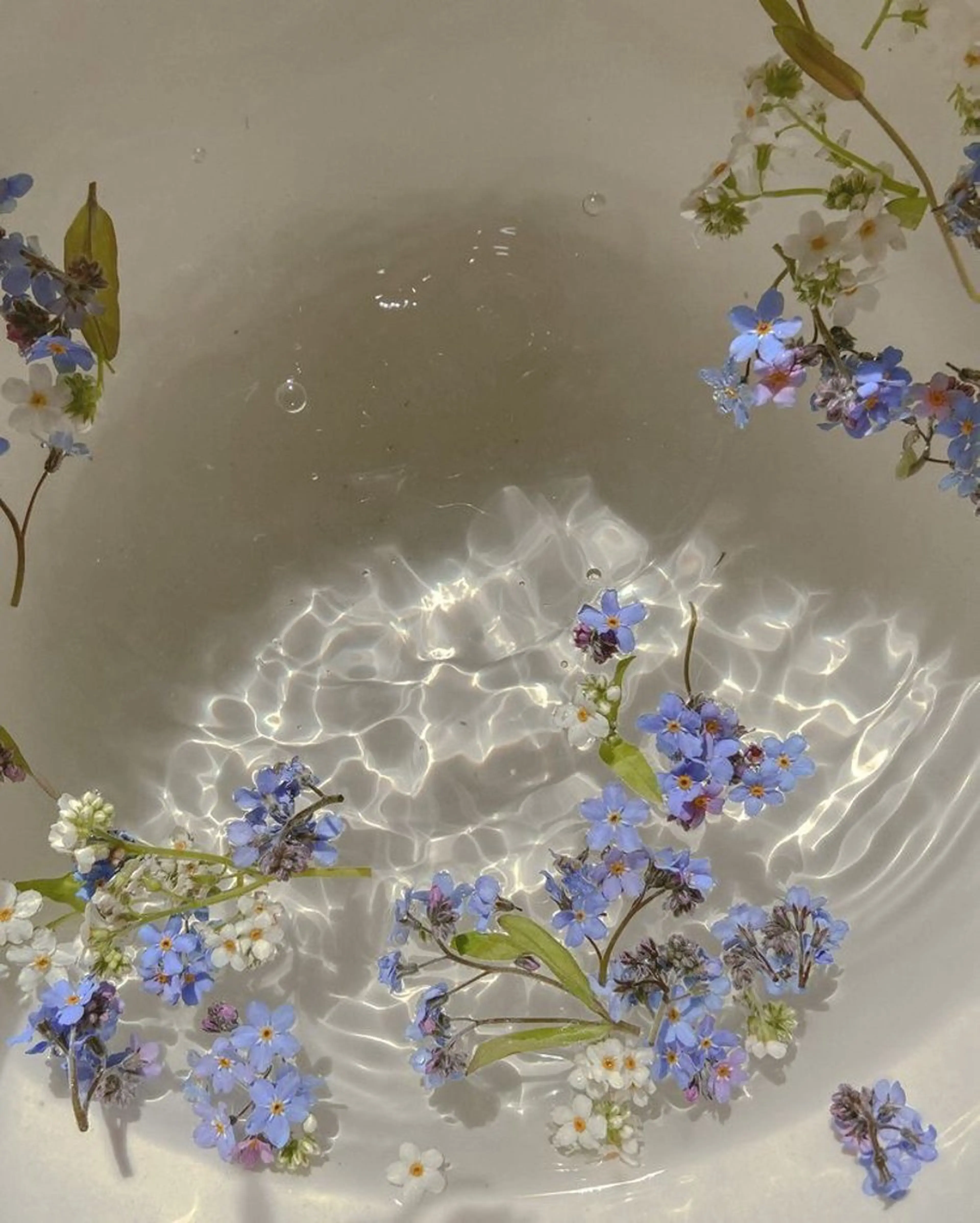 🥀選べるアロマヘッドスパ20min🥀(シャンプー付き🫧 ͛.*)の写真