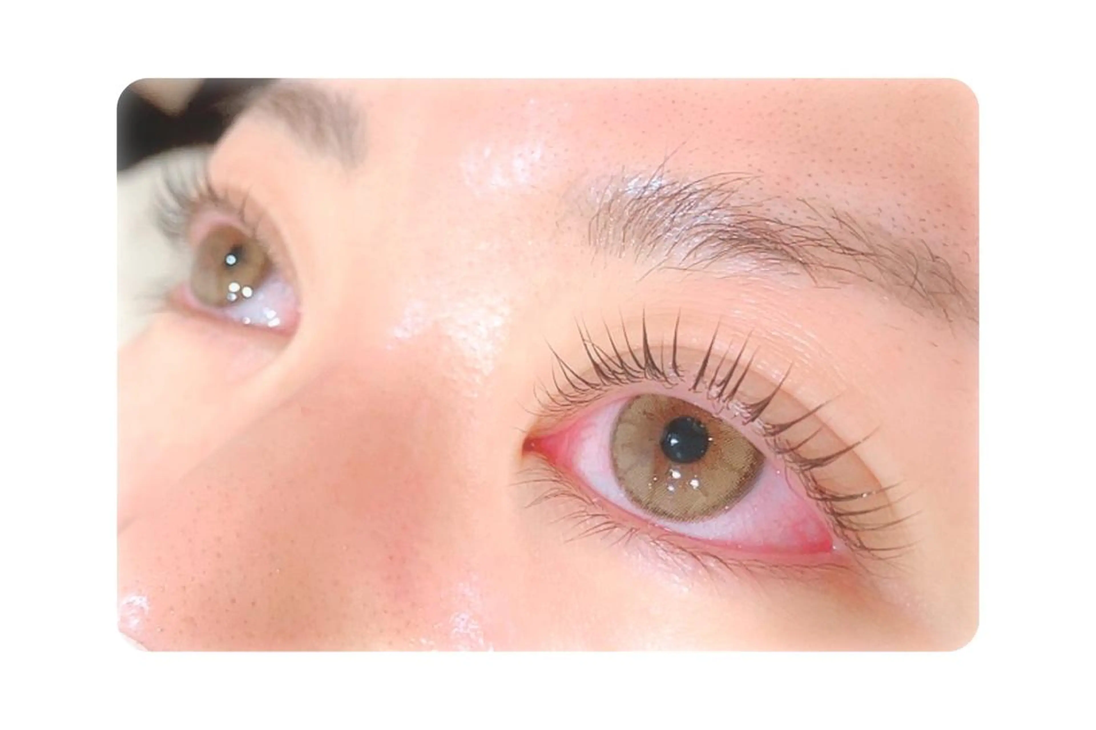 マツエク・マツパ Gluttony/ ｸﾞﾗﾄﾆｰ＊ユキのマツエク・マツパデザイン