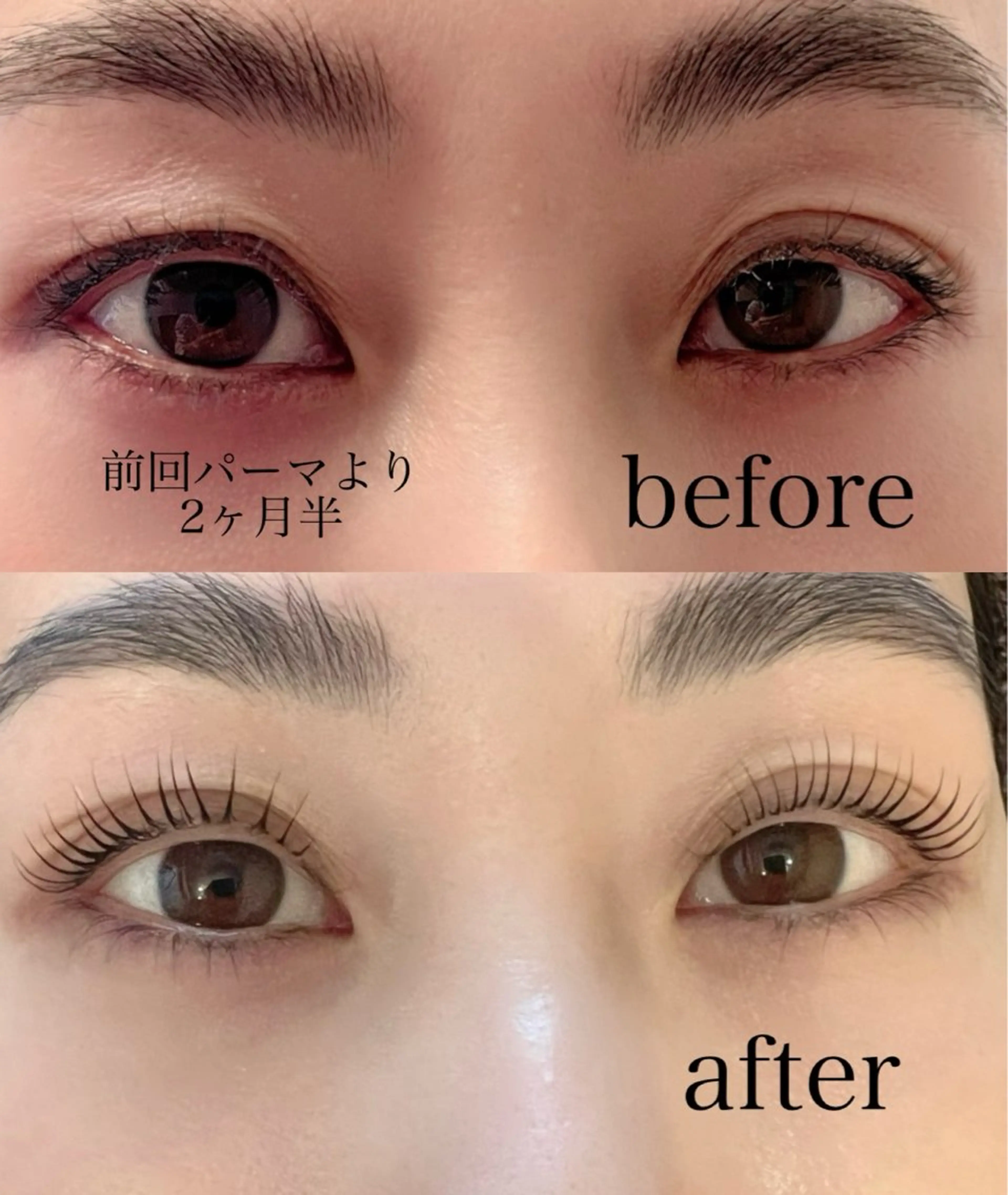 マツエク・マツパ lepo（レポ）所属・渋谷 志穂のマツエク・マツパデザイン