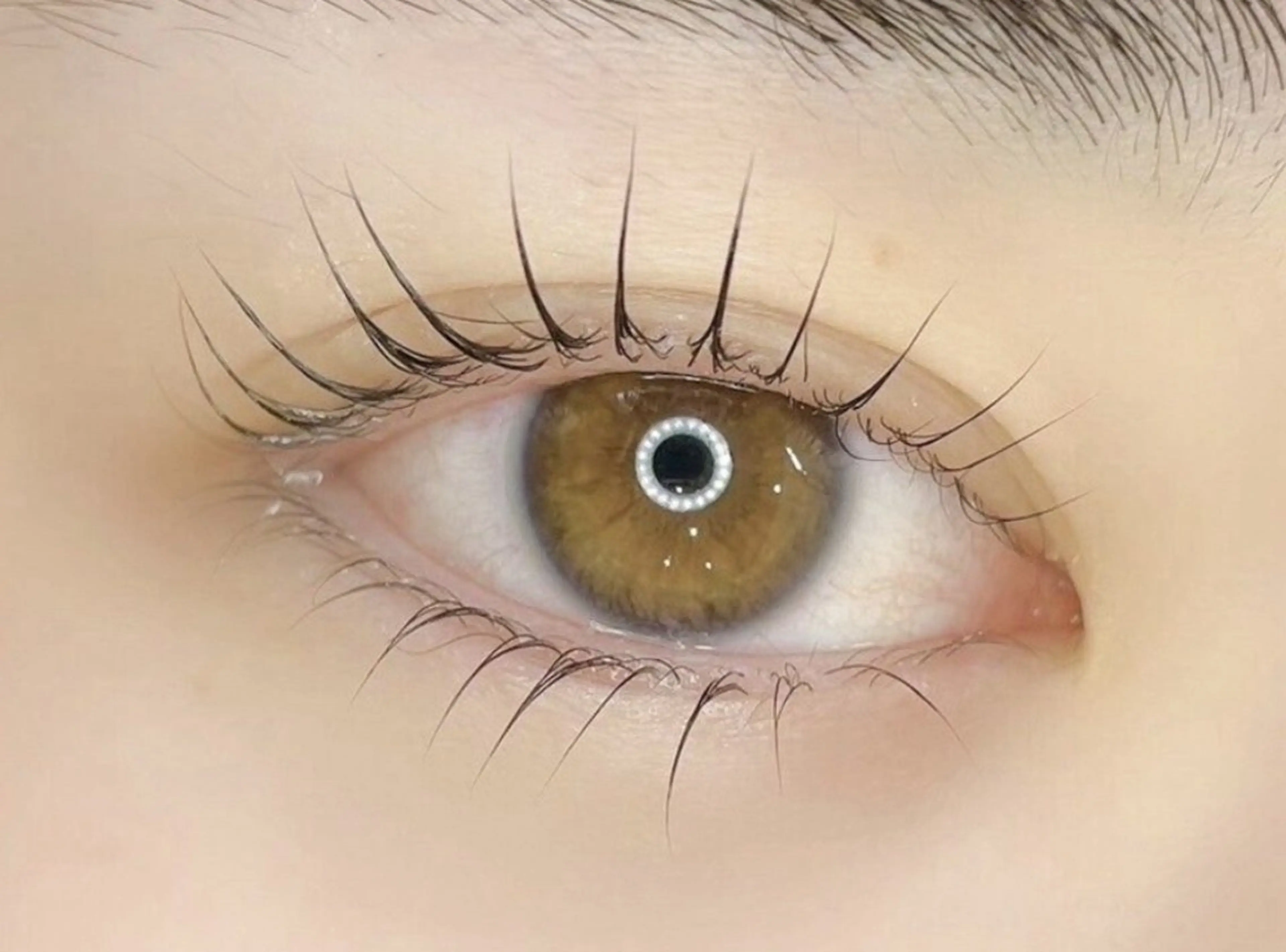 まつ毛パーマ【ナチュラルな仕上がりに♪】の写真