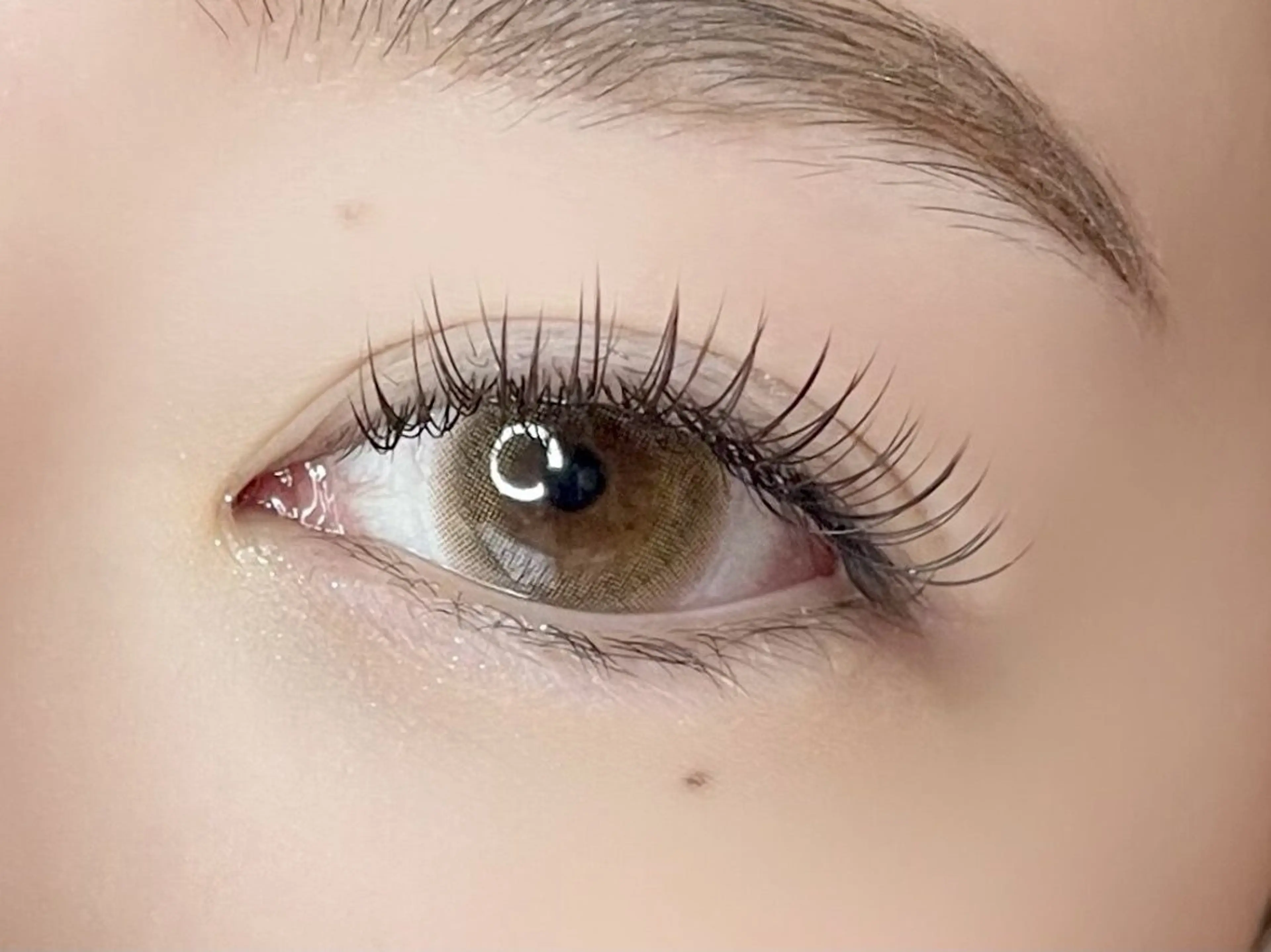 【平日限定】セットでお得🩰まつ毛パーマ＋選べる眉毛スタイリング🤍✨の写真