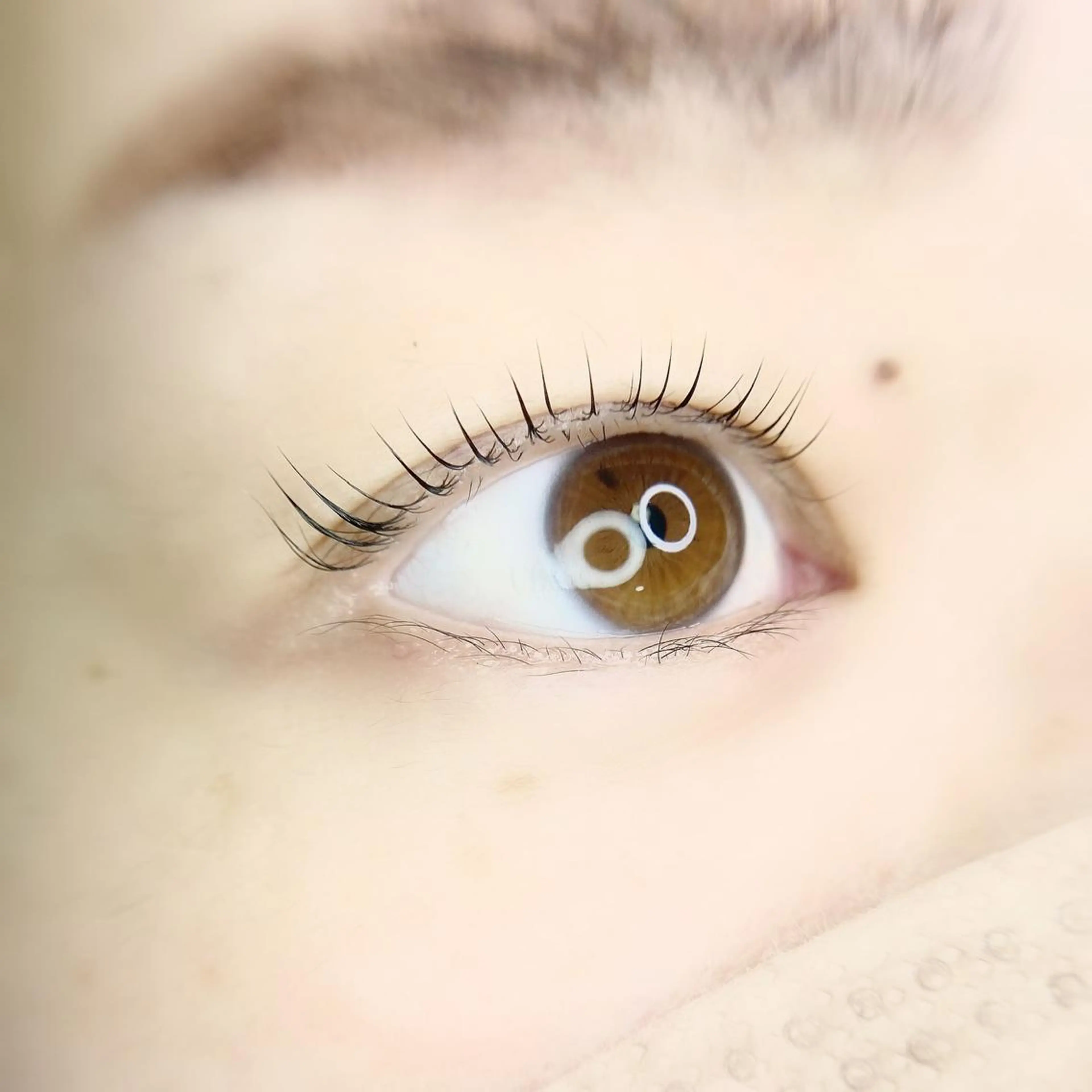 マツエク・マツパ マツパ Beauty salon Lulu所属・Lulu 西田のマツエク・マツパデザイン