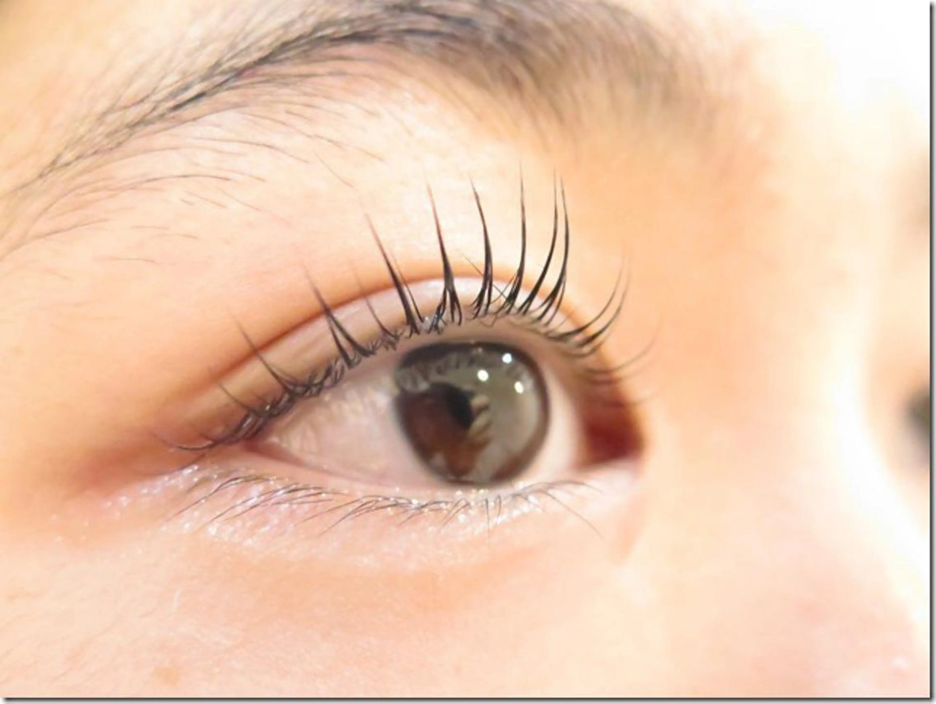 マツエク・マツパ サクラブロウ 池袋　店の眉毛・アイブロウイメージ