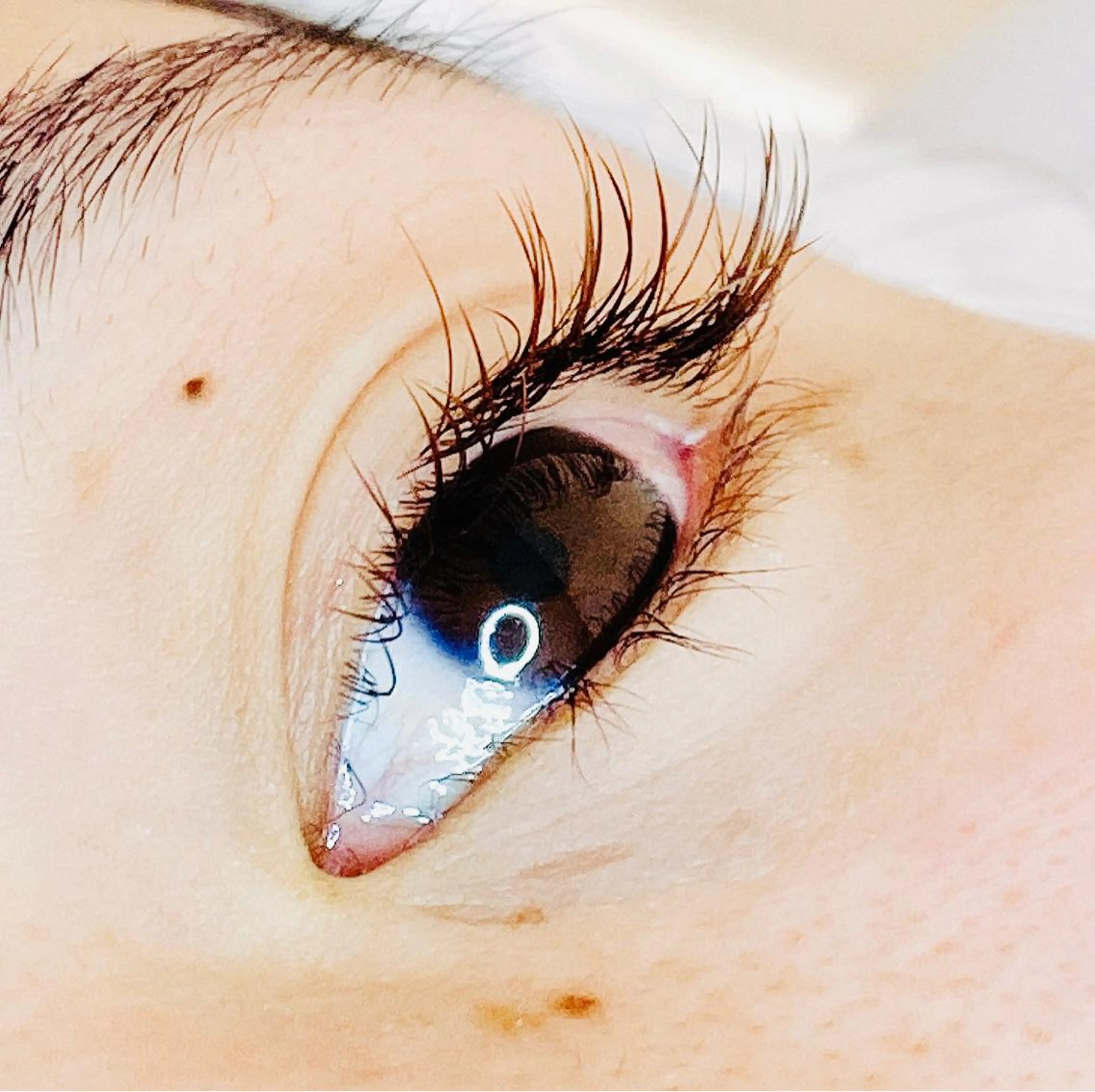 マツエク・マツパ マツエク eyelash salon Lys所属・eyelash salon  Lysのマツエク・マツパデザイン