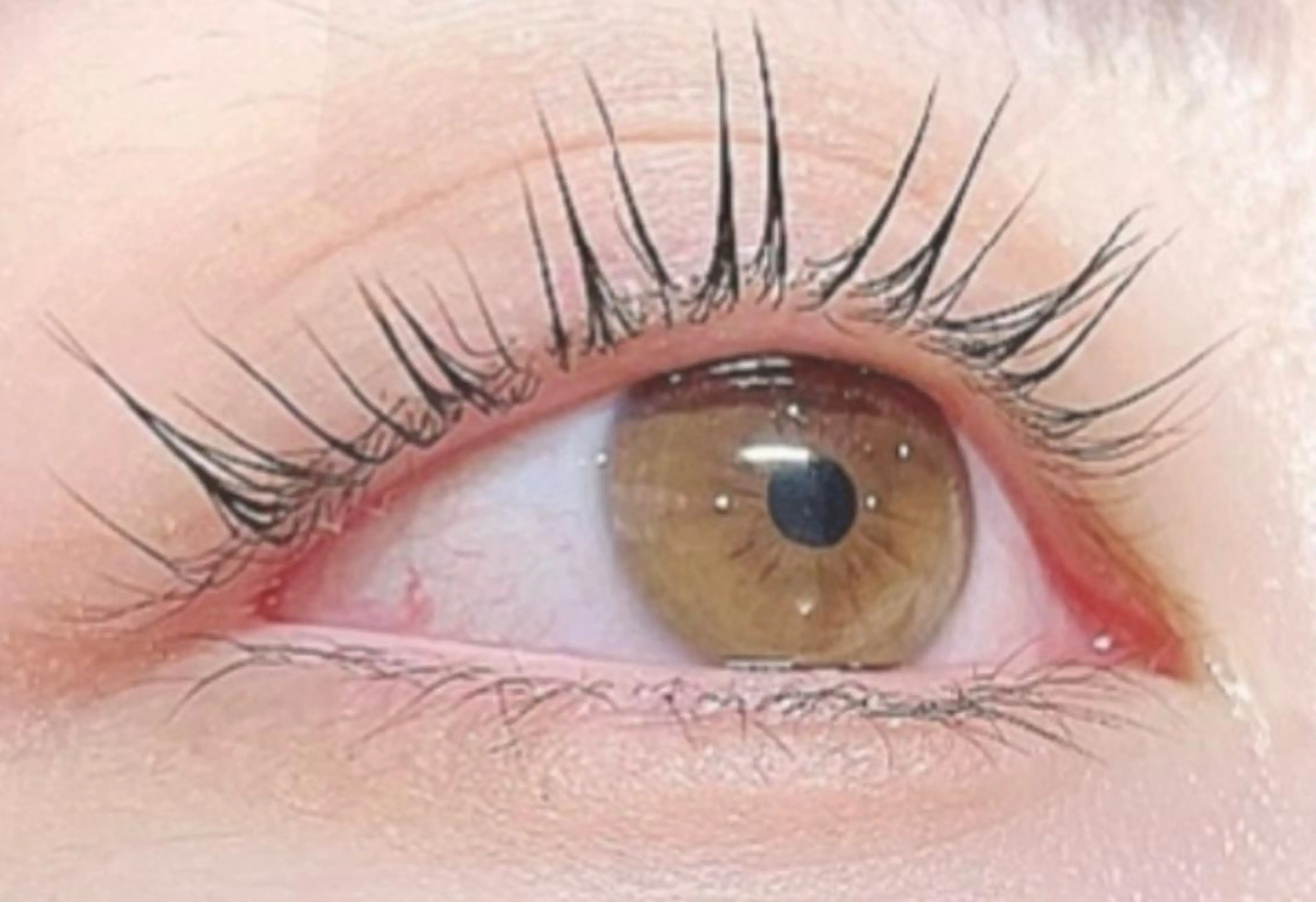 マツエク・マツパ 一重×まつ毛パーマ iu.(イユドット)所属・🤍二条城北iu. /IKUHOのマツエク・マツパデザイン