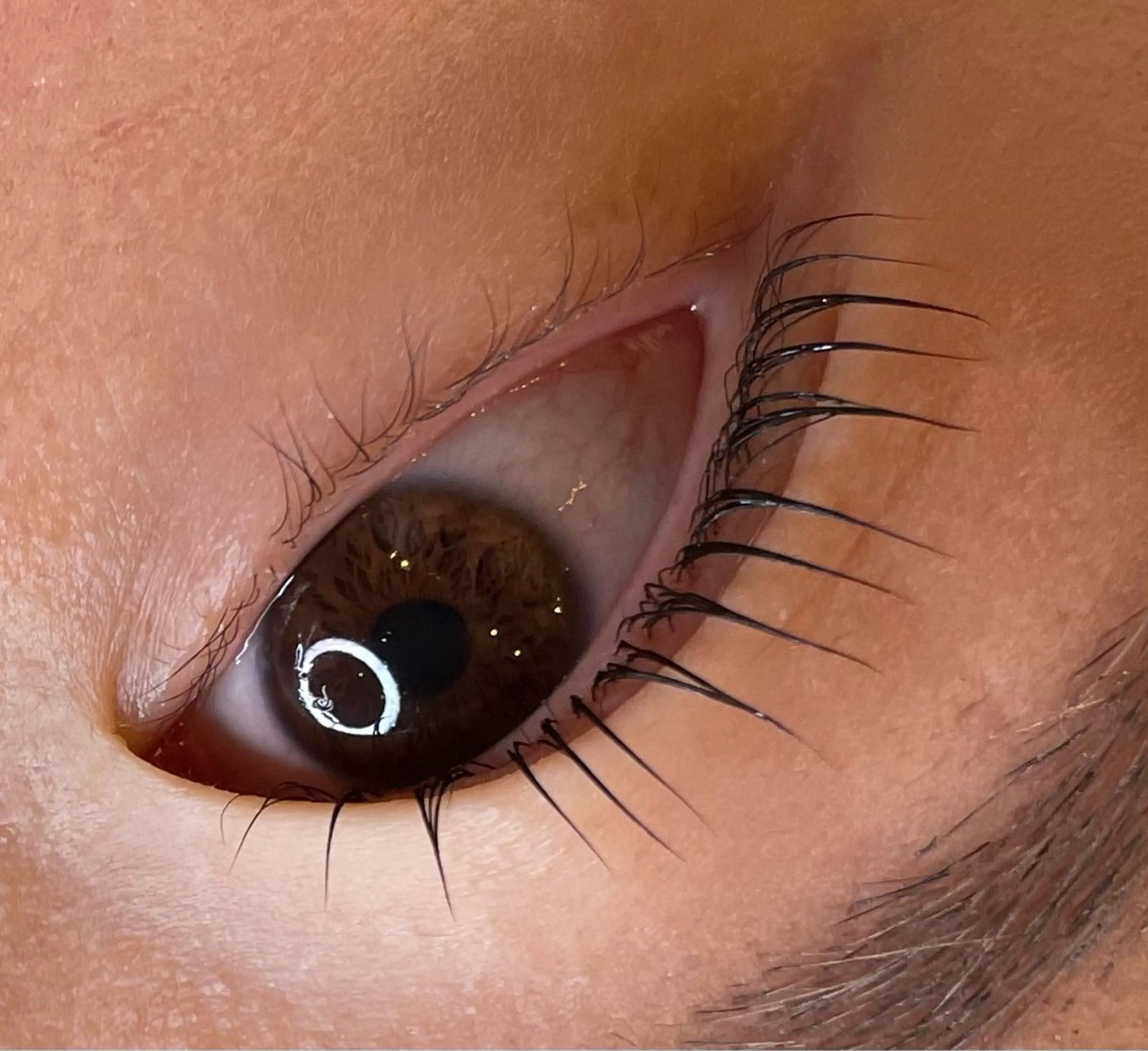 マツエク・マツパ eye salon &me.🎀のマツエク・マツパデザイン