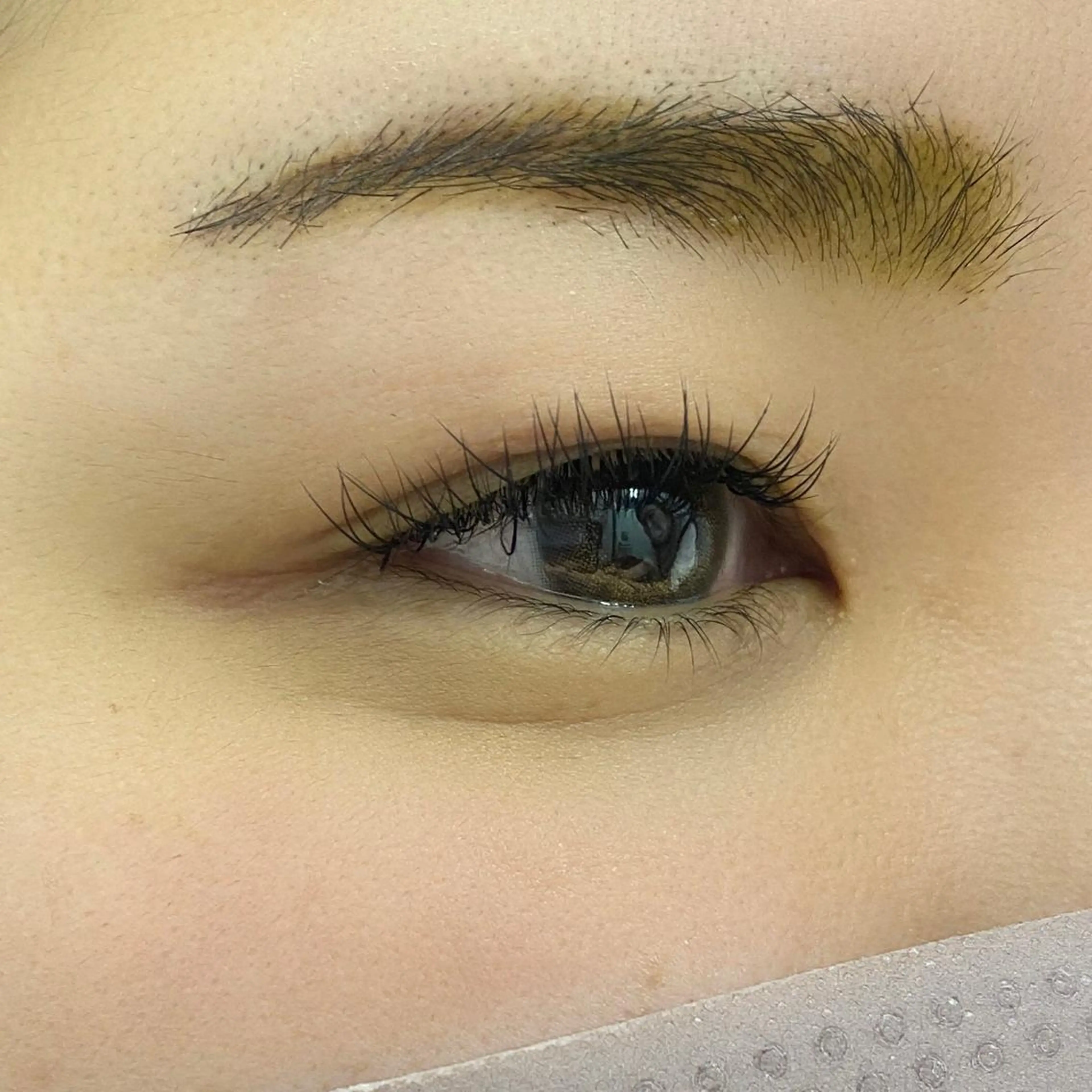 マツエク・マツパ Dカール Miyu🦄ash メンズカット/まつげのヘアスタイル