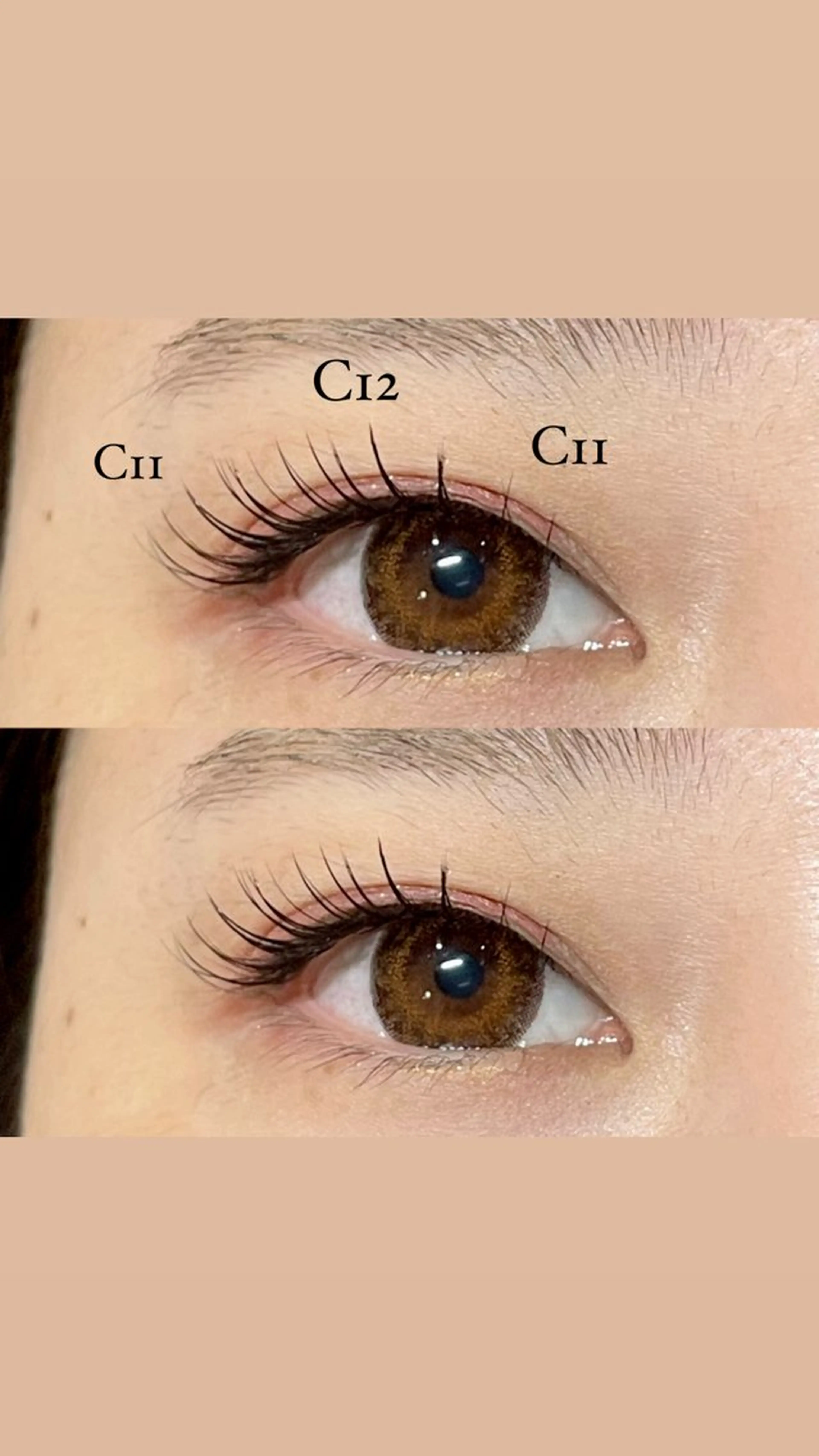 マツエク・マツパ セーブル ＋tico _ayanaのマツエク・マツパデザイン