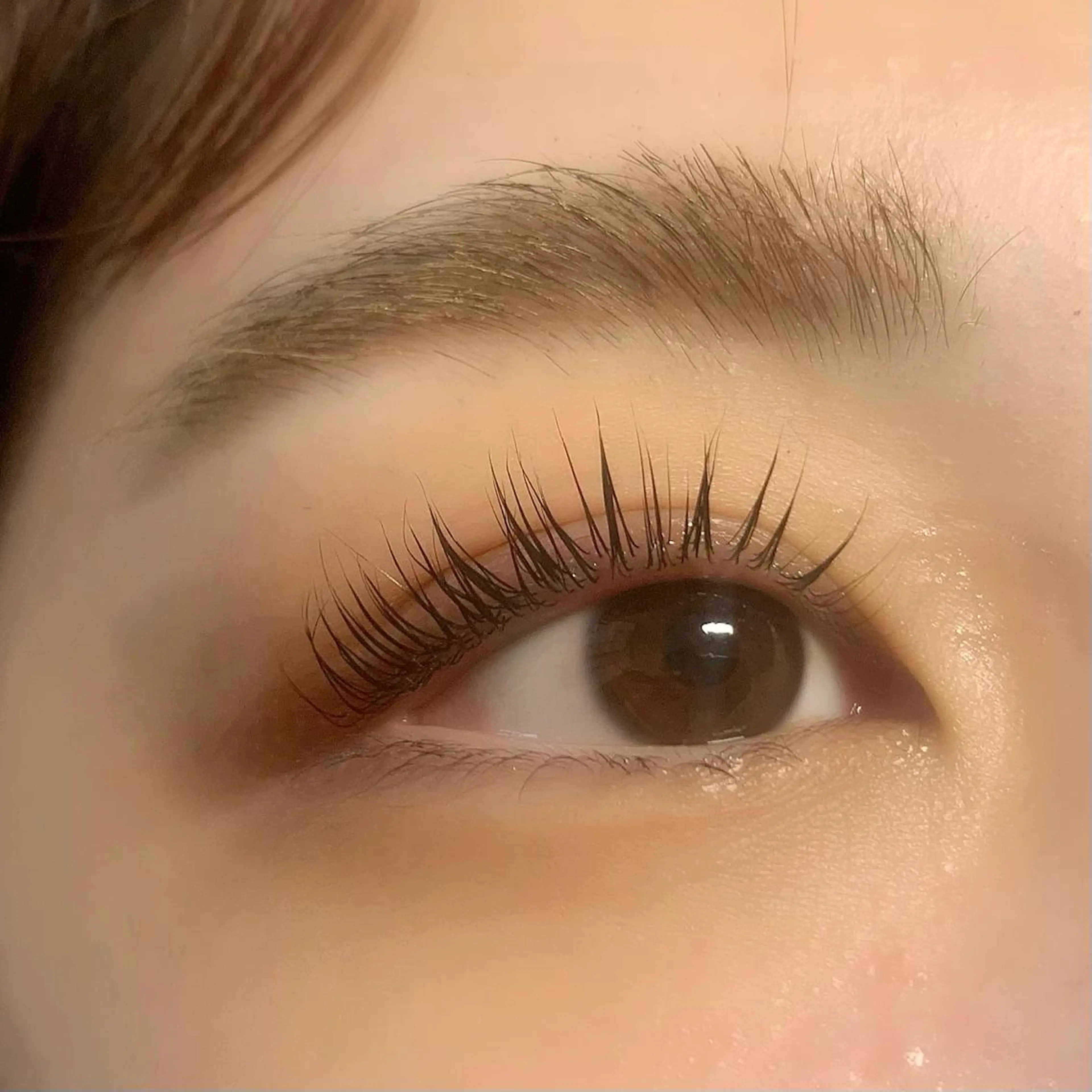 マツエク・マツパ Celeste Venus所属・🧸Celeste Venusのマツエク・マツパデザイン