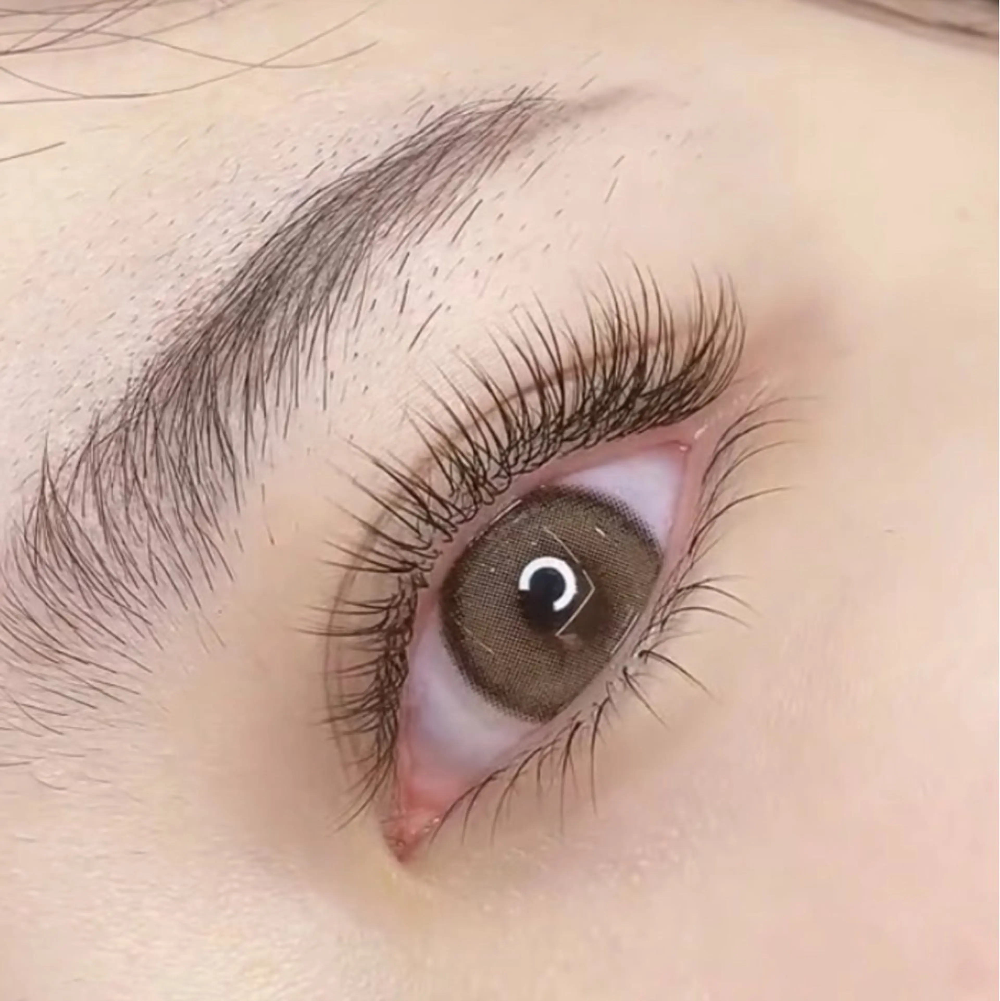 【オフ有料+300円】フラットラッシュ上120本 +下30本 コーティング付の写真