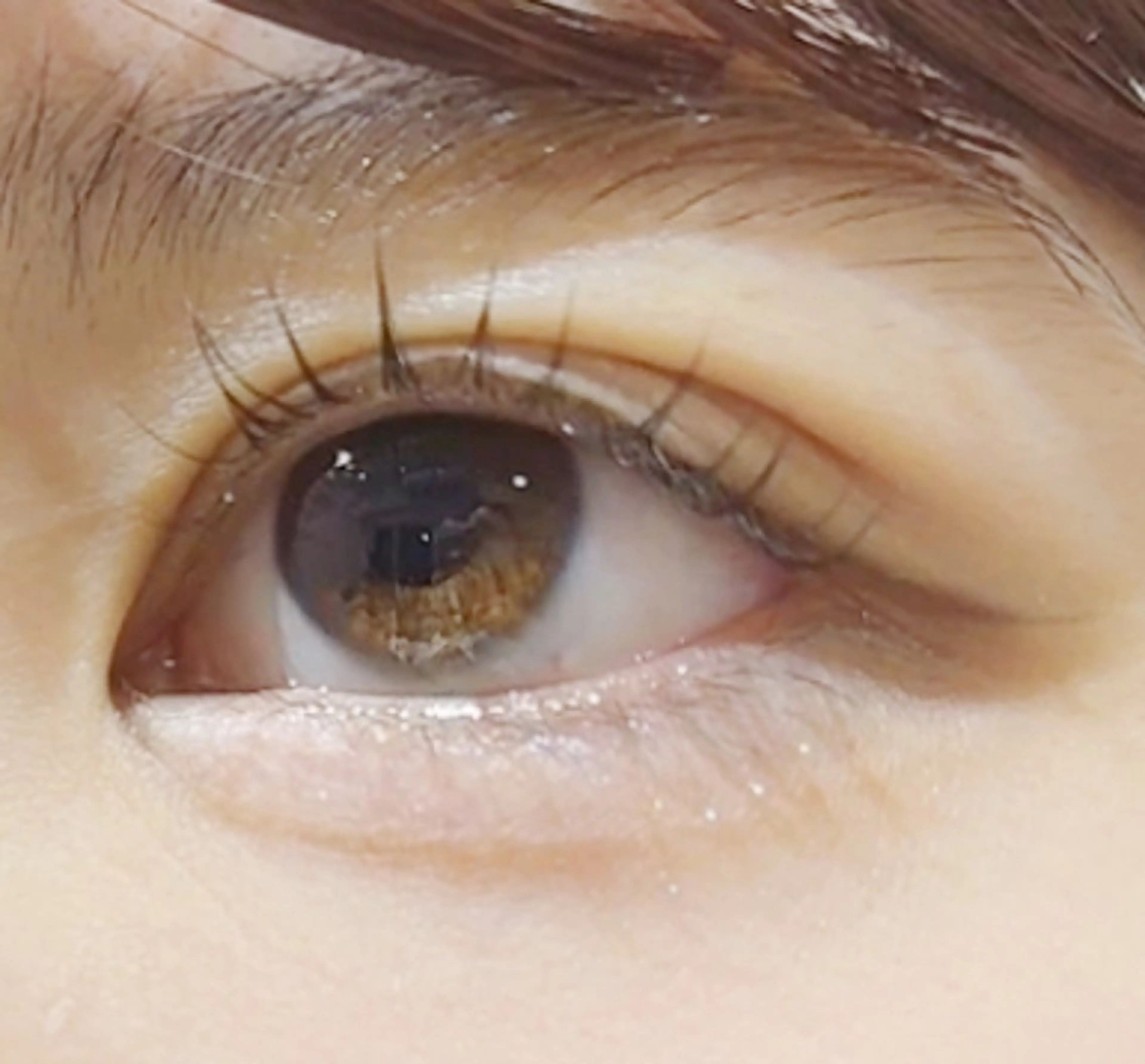 マツエク・マツパ SEED&Beauty代官山所属・ABE 祐天寺アイラッシュのマツエク・マツパデザイン