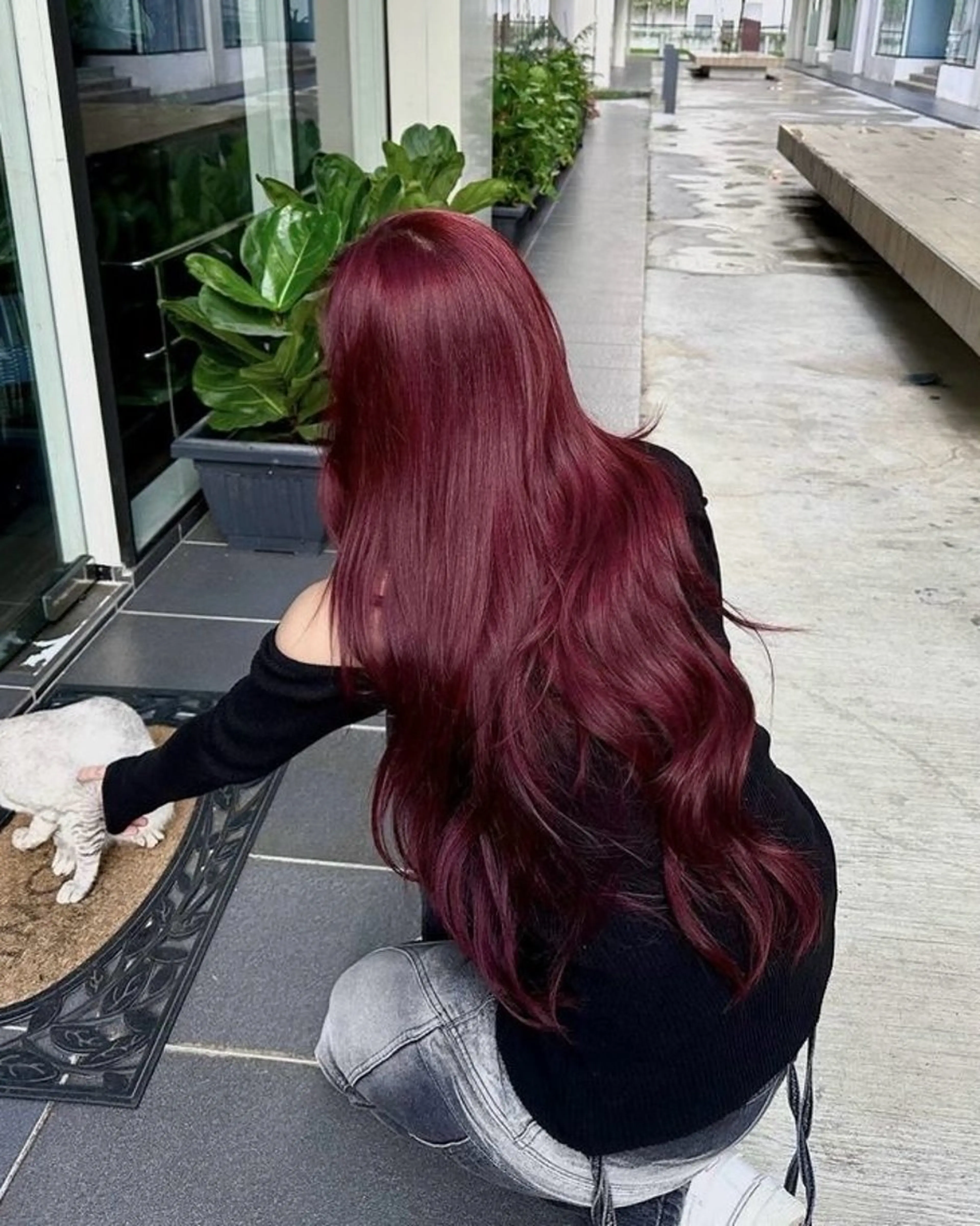 ロング カラー ヘアアレンジ ケアカラー ロング ヘアカラー ヘッドスパ ヘアセット 中韓🇰🇷暖色/ ワインレッド/らいるのヘアスタイル