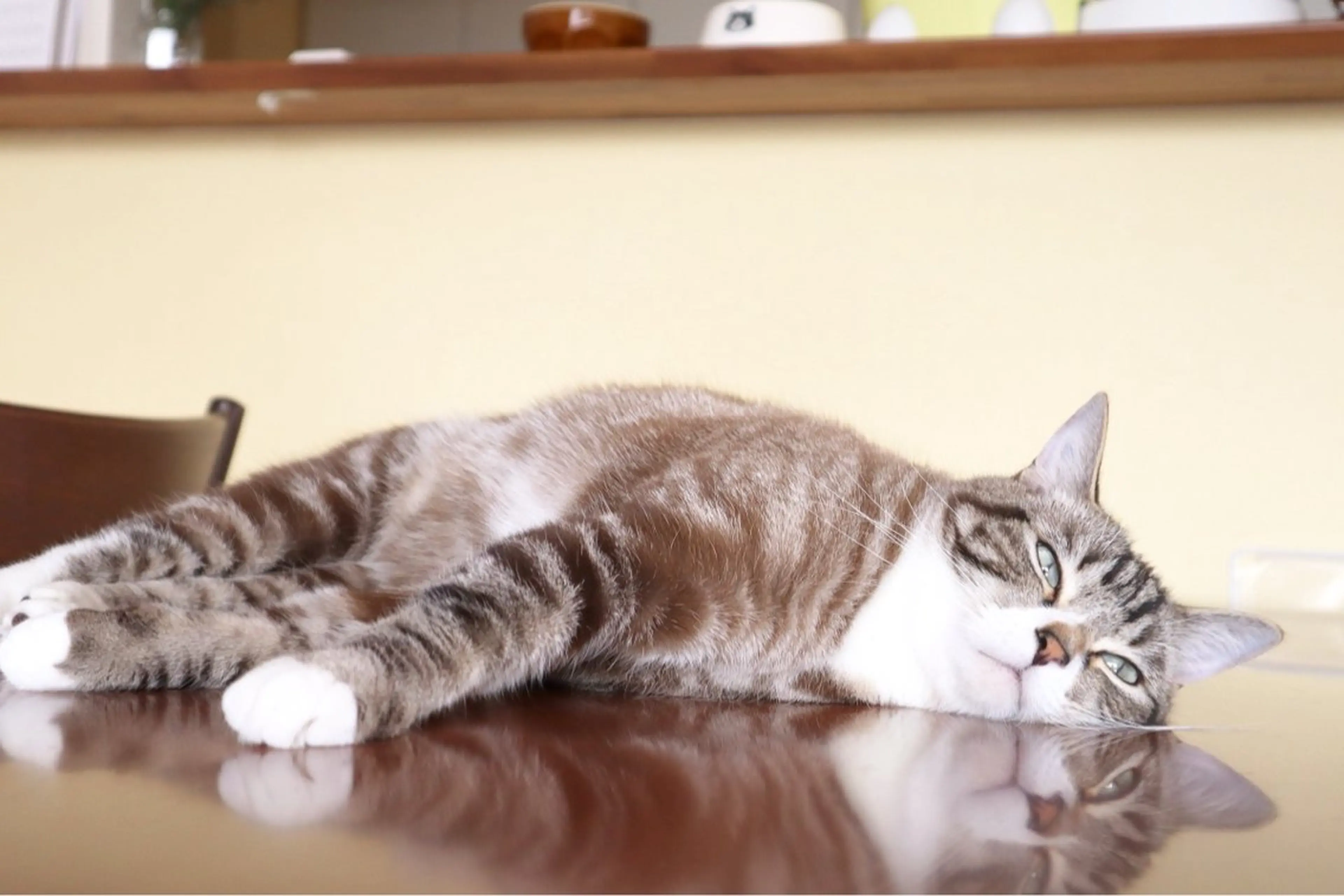 その他 🌸サクラサク鍼灸 Tanakaのエステ・リラクイメージ