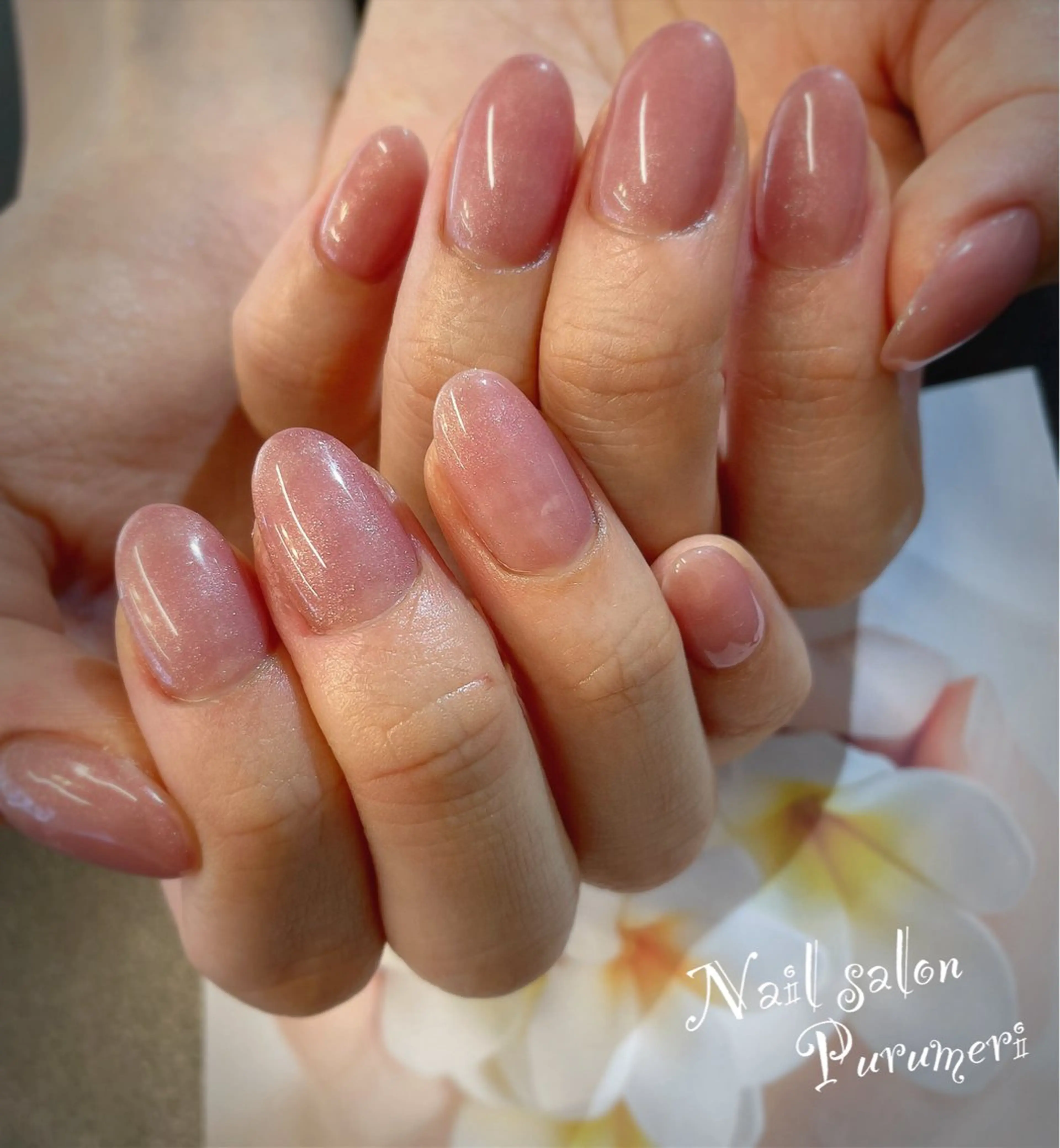 ご新規様限定価格　ワンカラーの写真