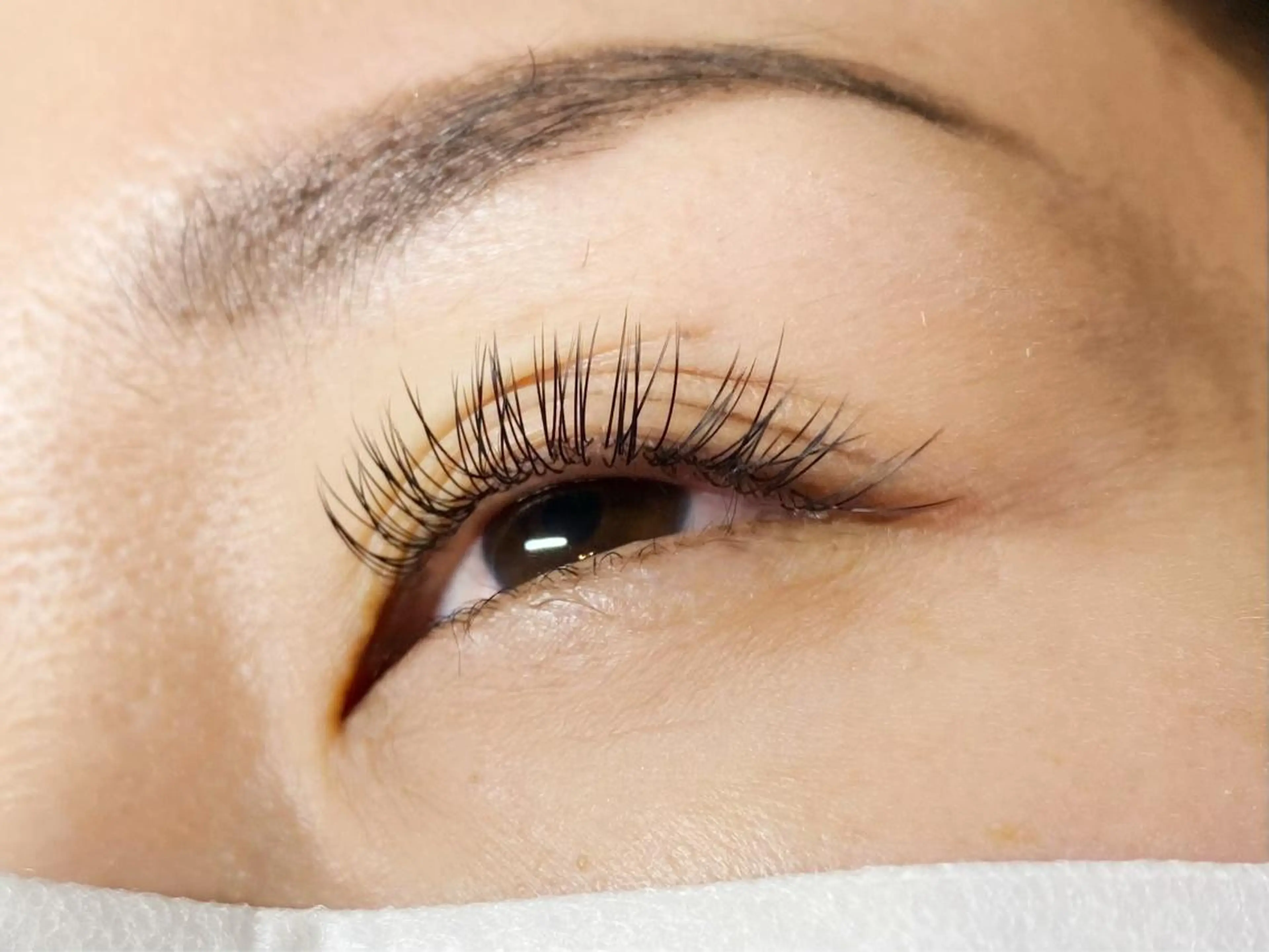 マツエク・マツパ まつ毛、毛穴ケア 専門サロンPlumeのマツエク・マツパデザイン