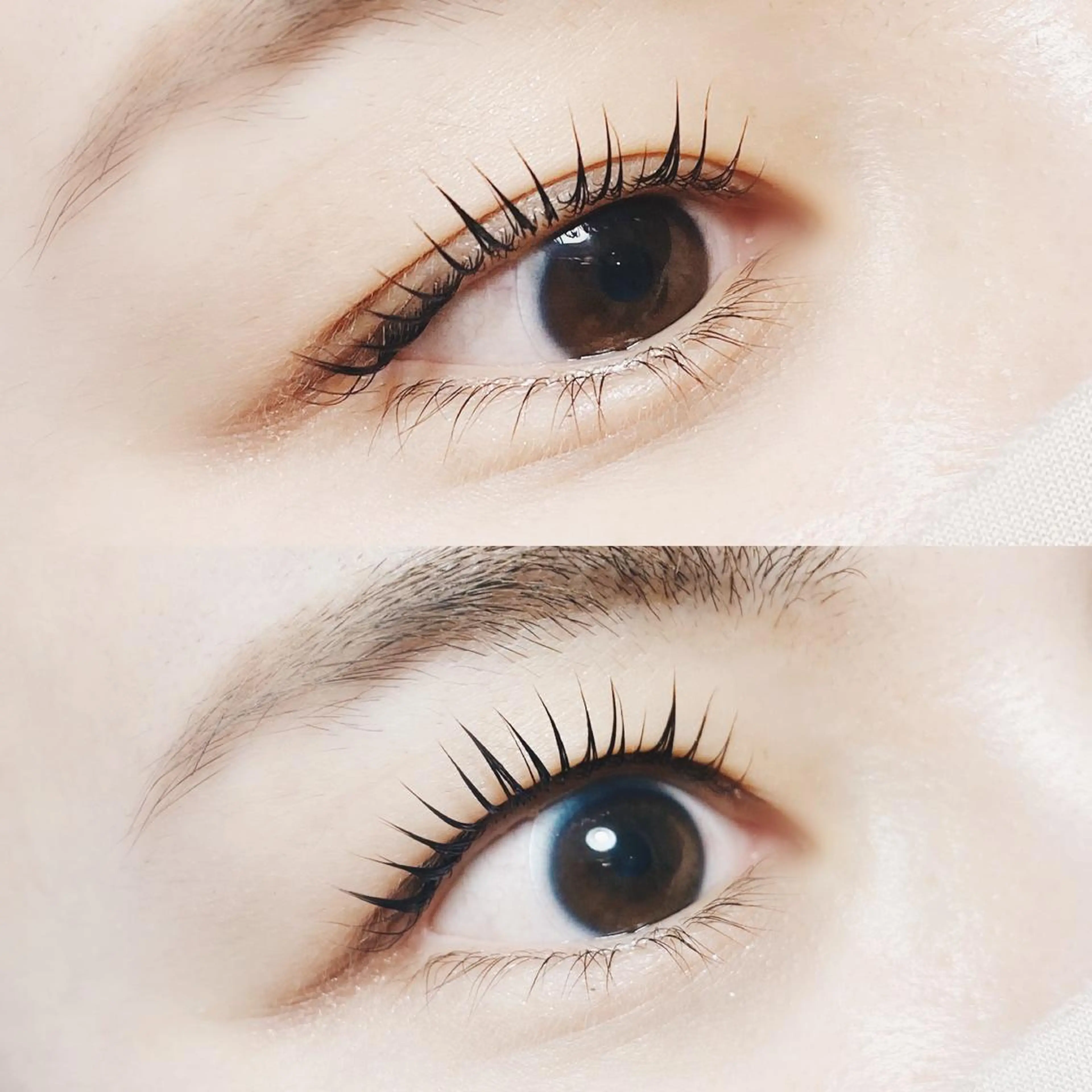 次世代まつ毛パーマ【Addict curl】¥6500の写真