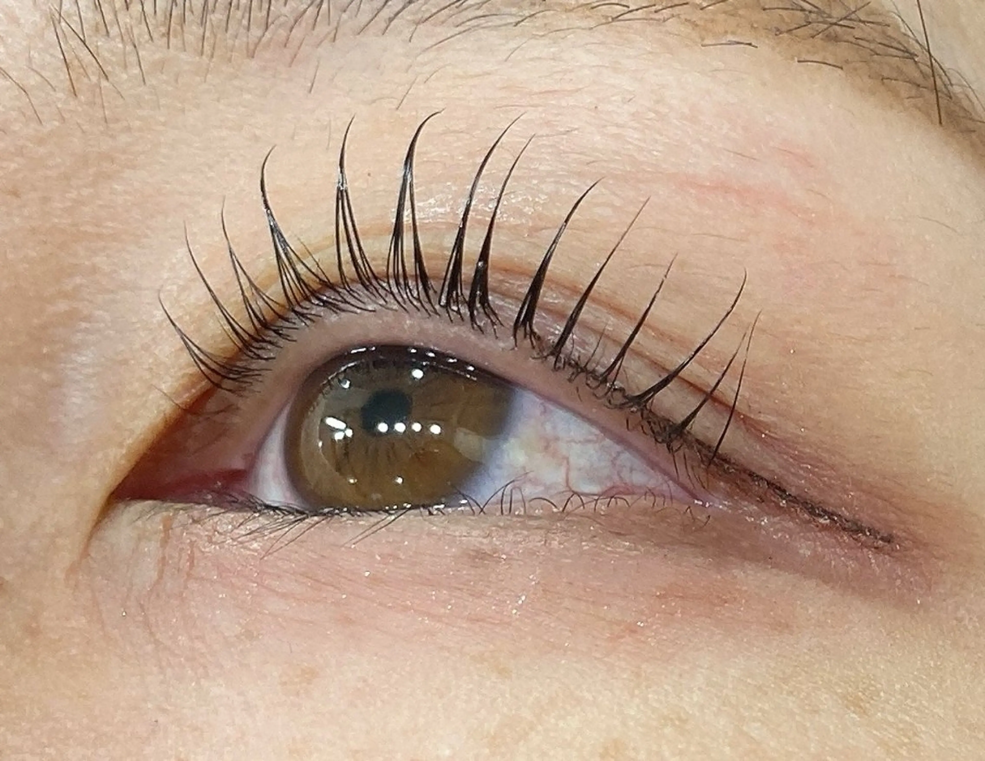 マツエク・マツパ まつげパーマ マツパ 須貝 スガイの眉毛・アイブロウイメージ