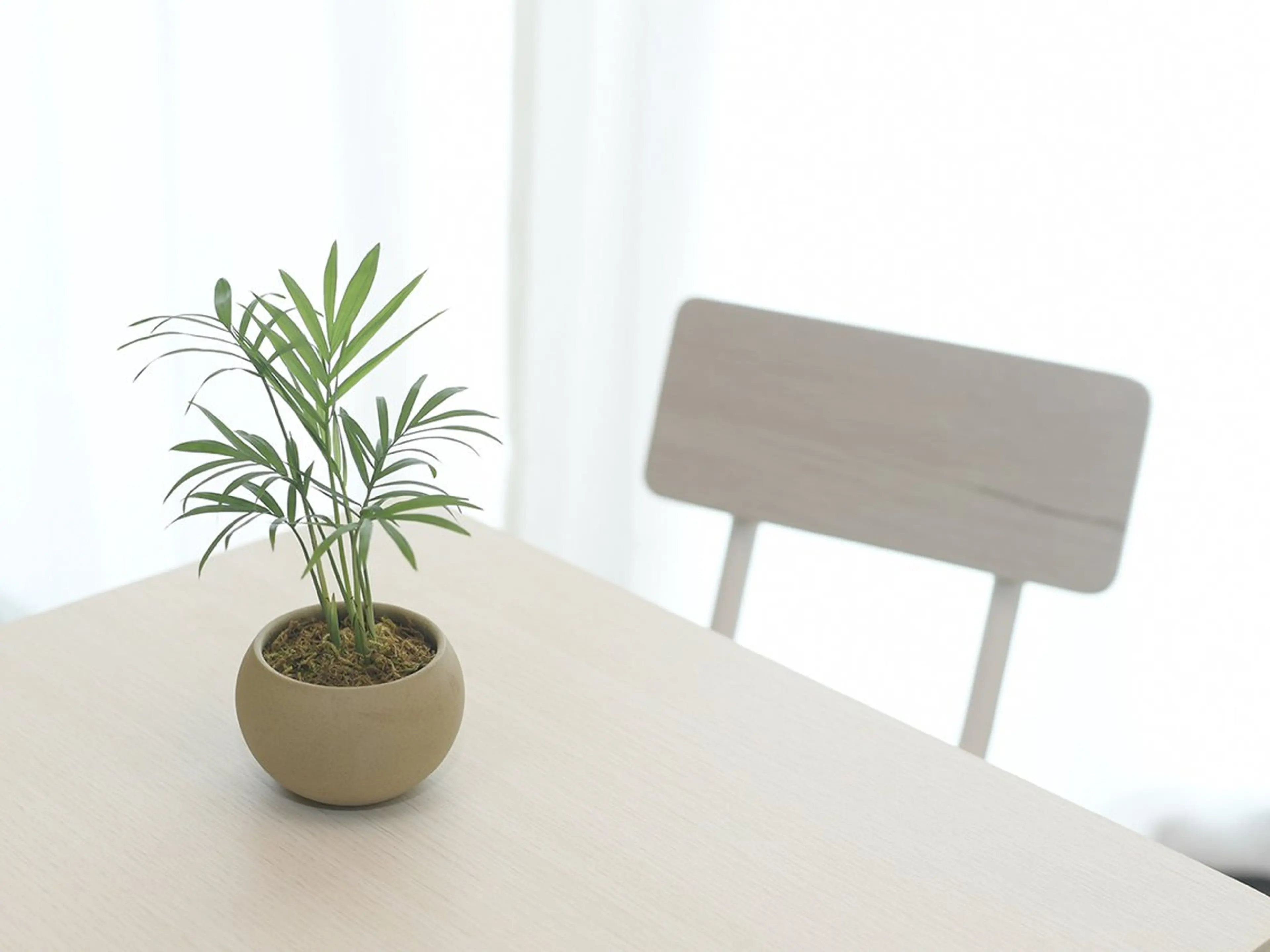 整体院WARAWELL所属・整体院 WARAWELLのエステ・リラクイメージ