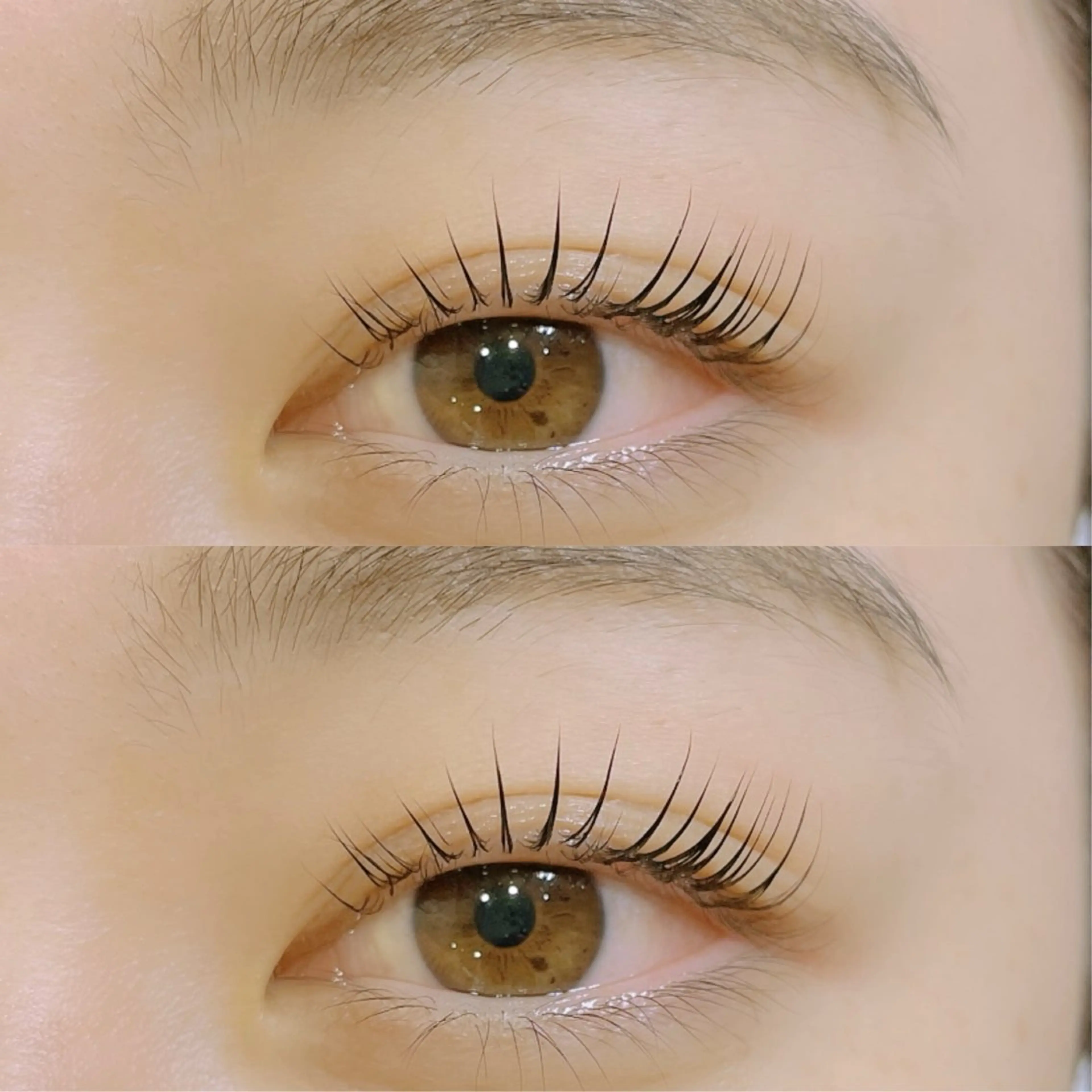 【本日限定】ミニモ限定パリジェンヌラッシュリフト5500⇨4500の写真