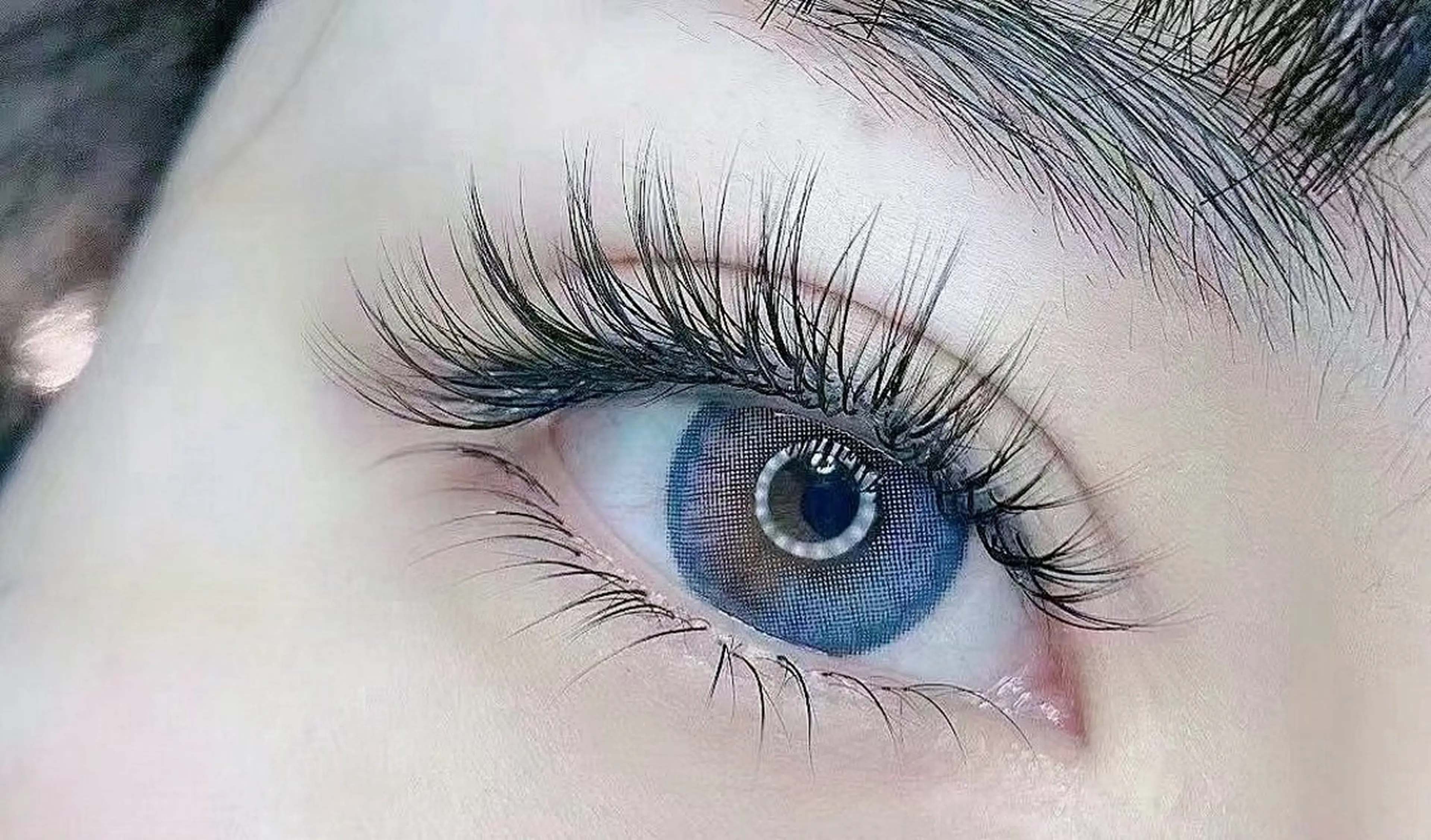 バインドロック　120束+コーティングの写真