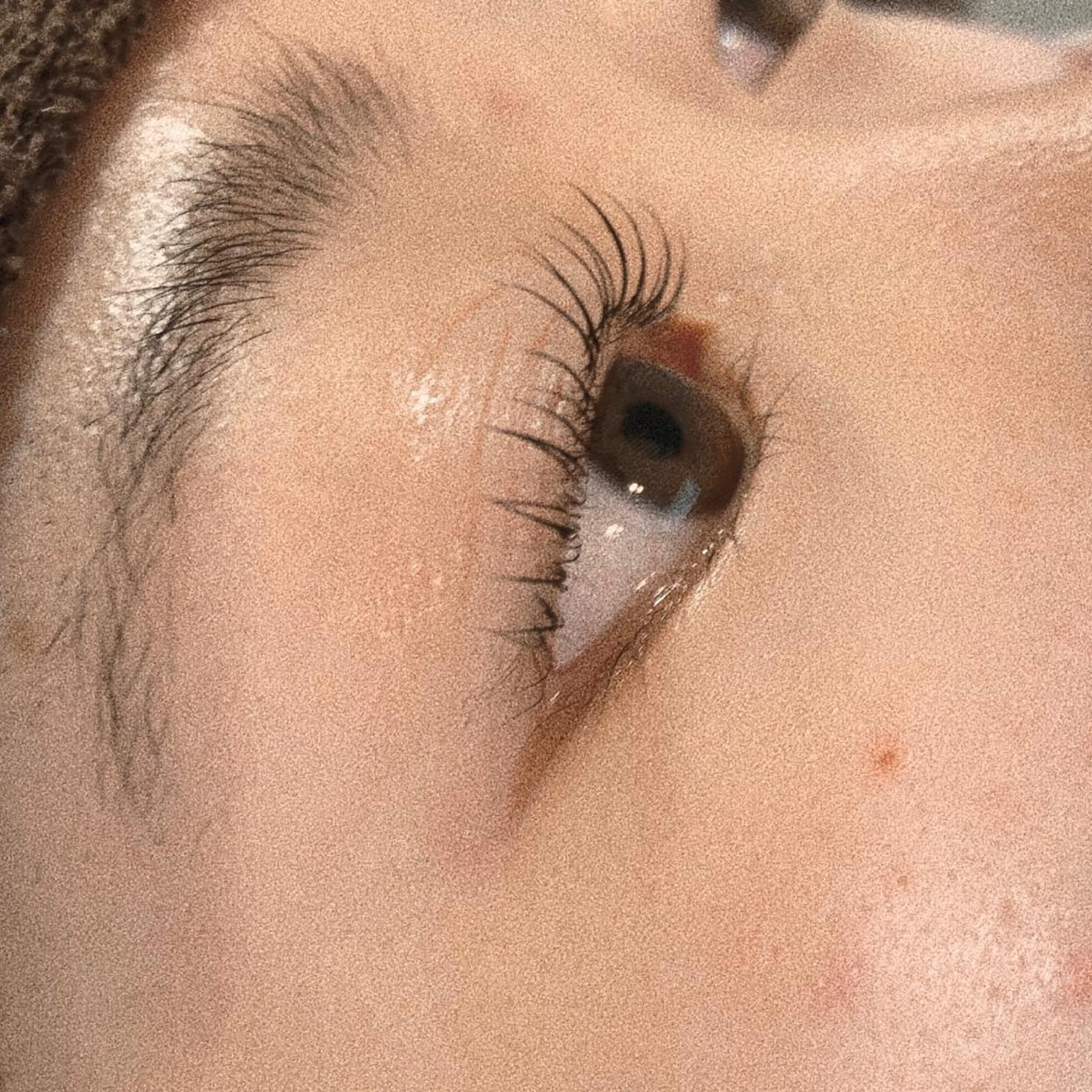 マツエク・マツパ Celeste Venus所属・🧸Celeste Venusのマツエク・マツパデザイン