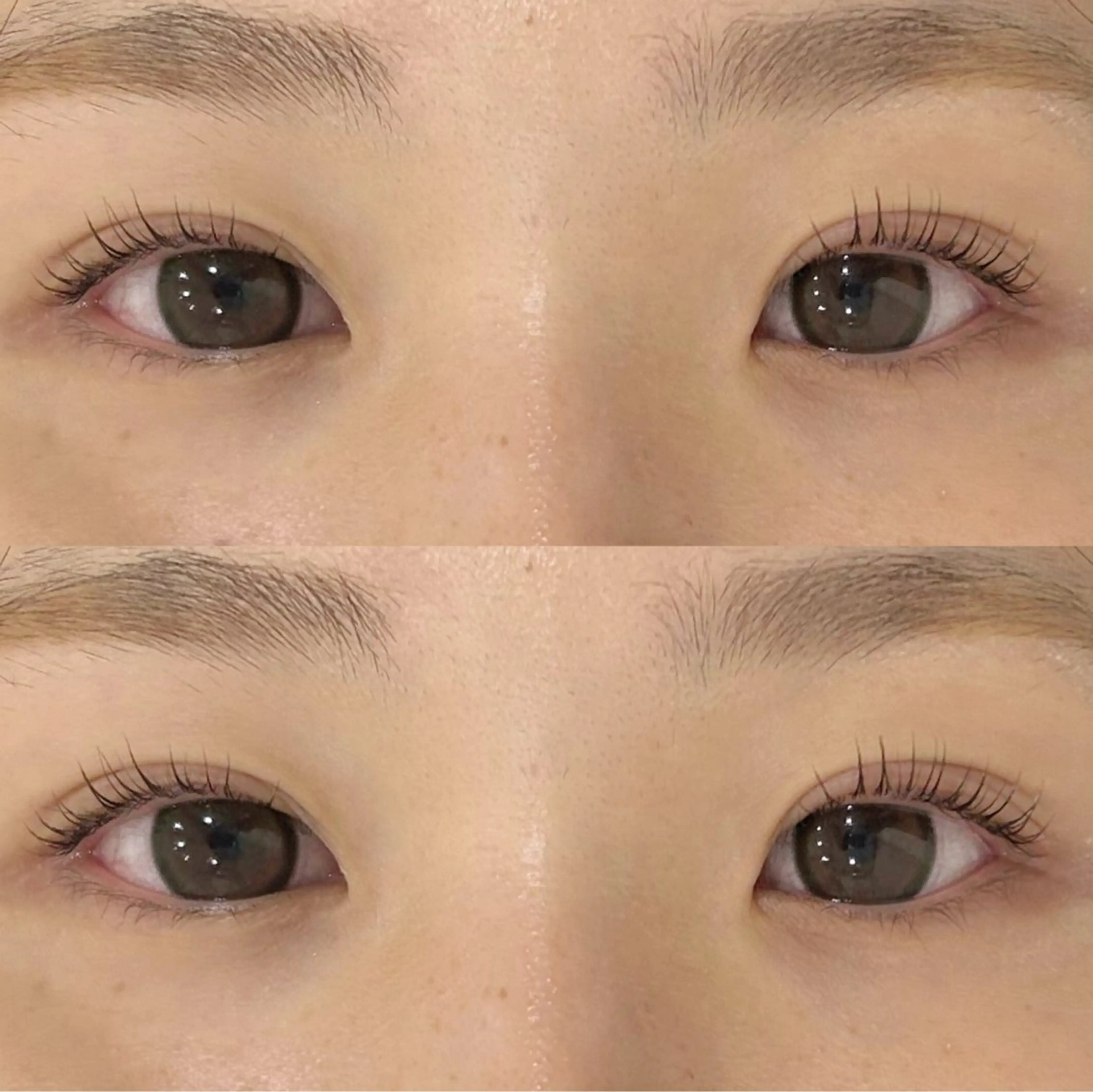 限定価格💫ラッシュリフト《上まつ毛パーマのみ》꒷꒦‪‪❤︎‬＆美眉スタイリング《WAX脱毛》༊·˚の写真