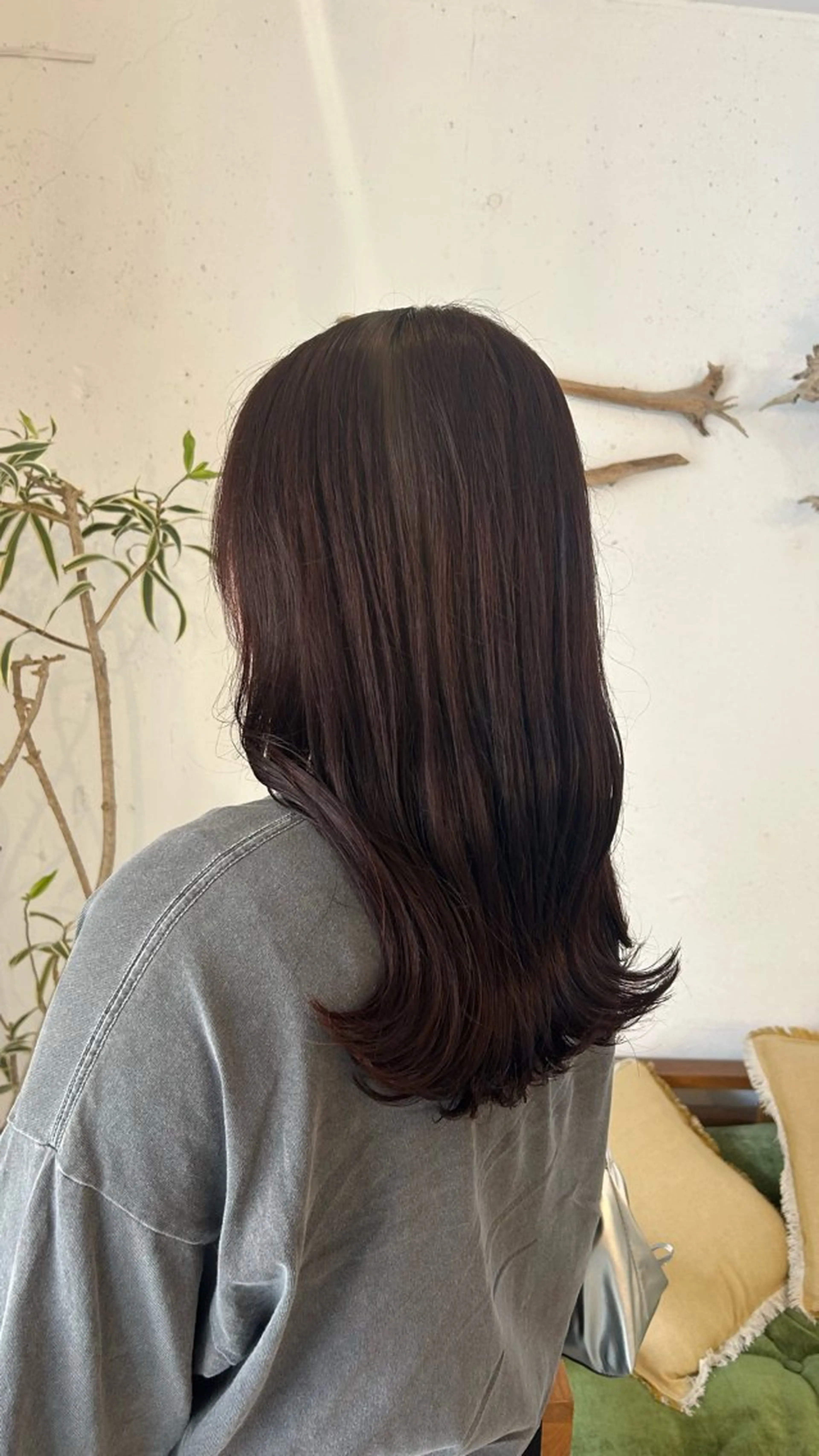 カラー ブラウンカラー ピンクカラー 藤澤 樹のヘアスタイル