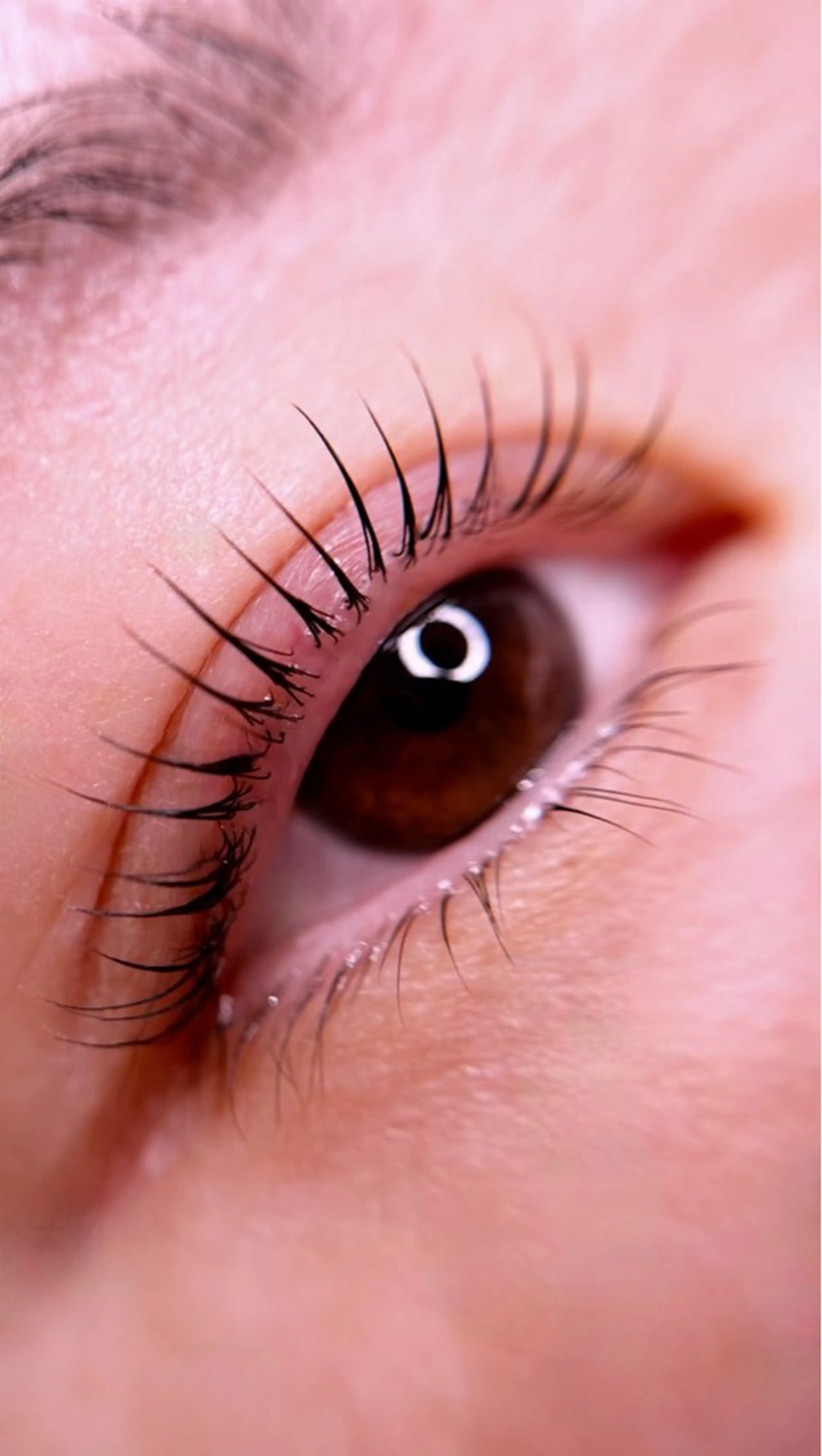 マツエク・マツパ TOMOKO .Mのマツエク・マツパデザイン