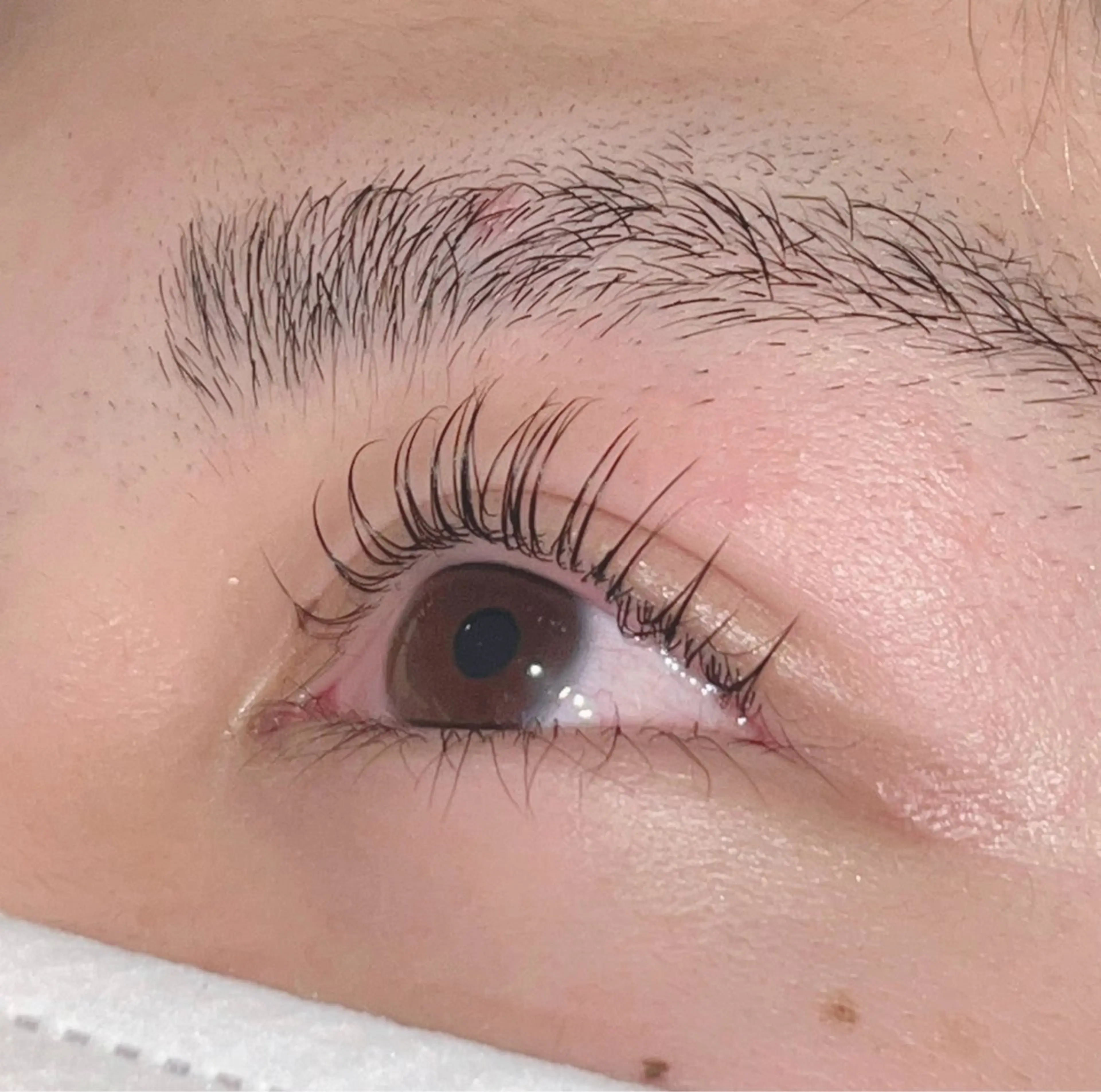 マツエク・マツパ 🌸髙島🌸 アーバンシー川口店のマツエク・マツパデザイン