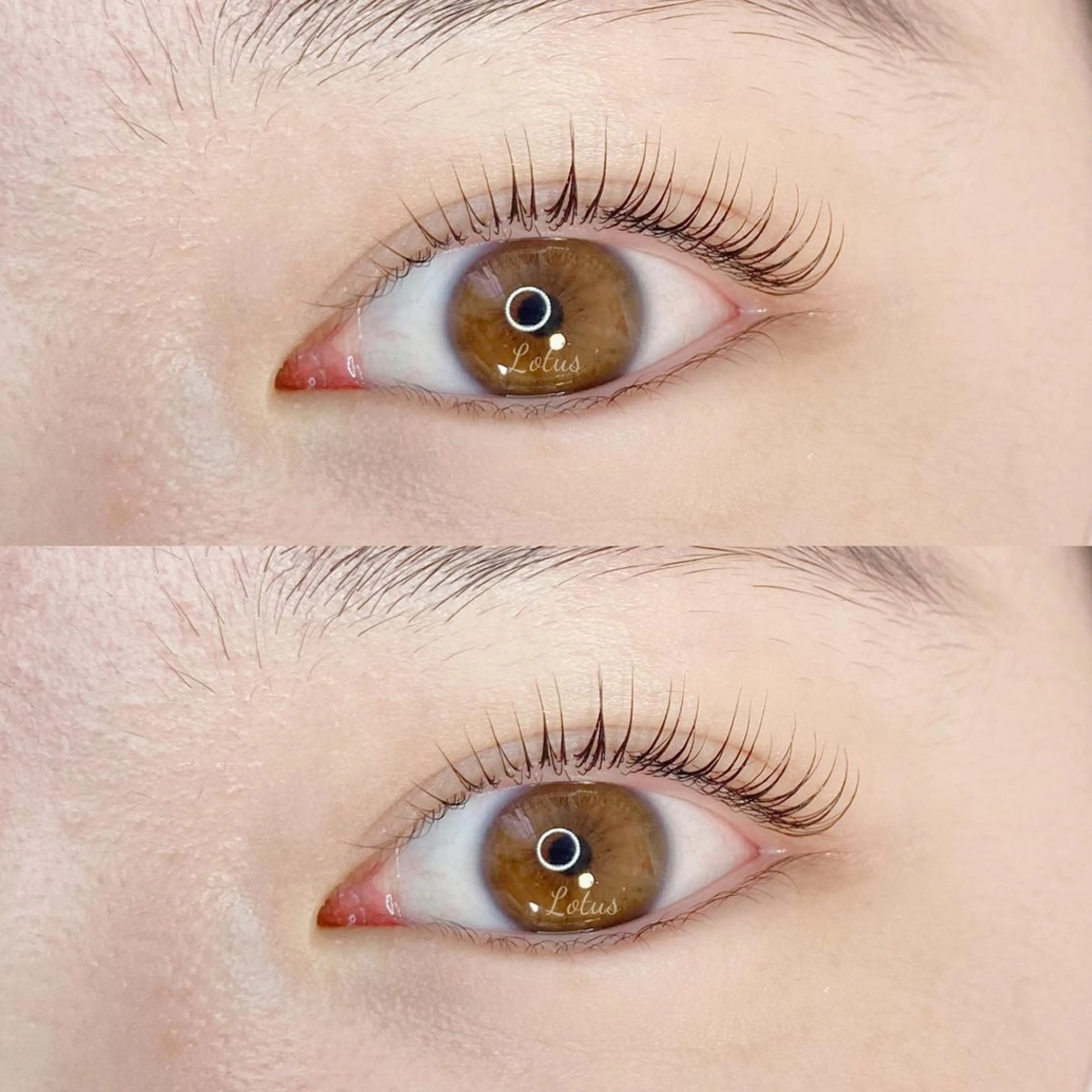 マツエク・マツパ マツパ Lotus所属・Lotus ロータスのマツエク・マツパデザイン