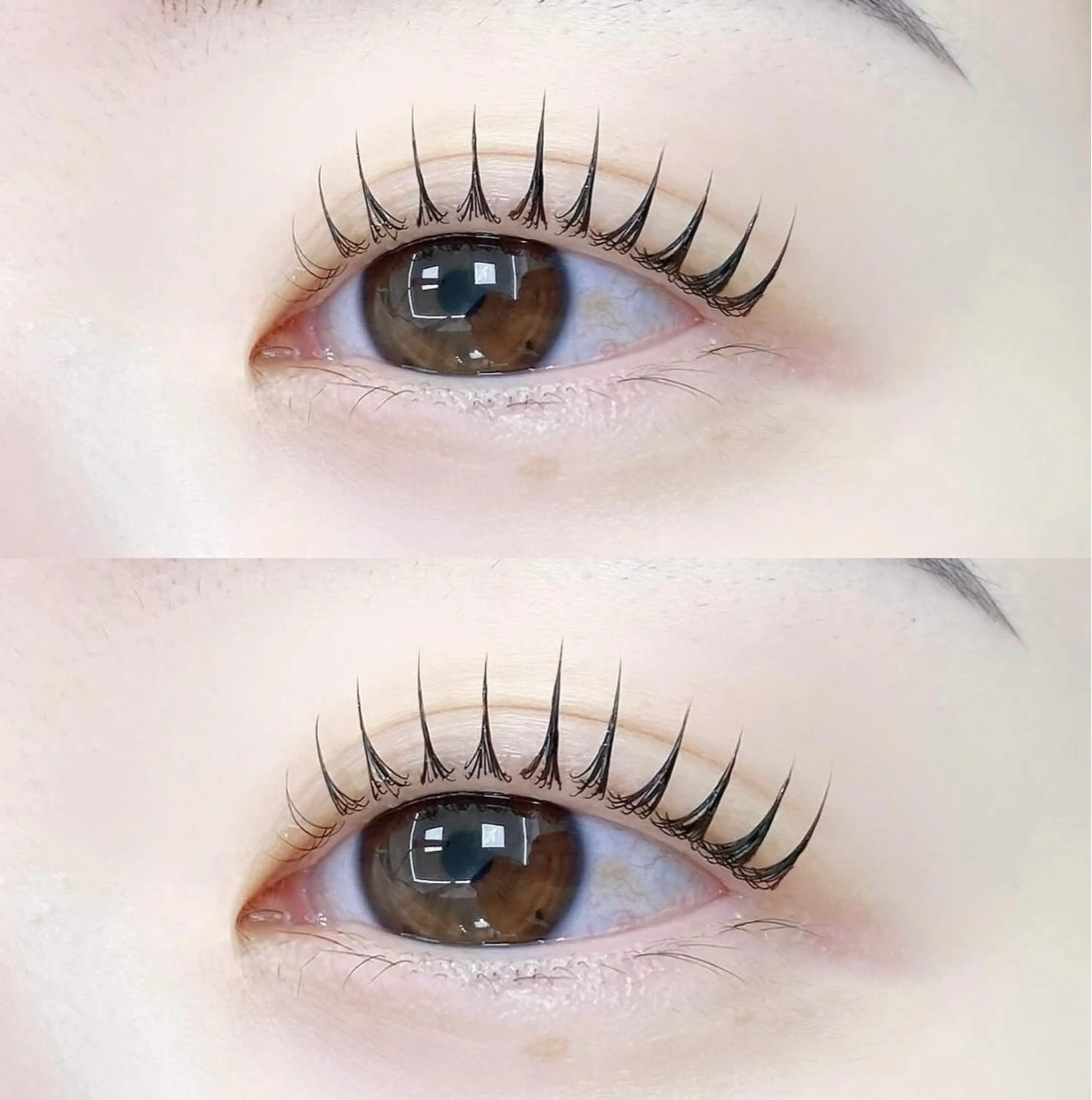 マツエク・マツパ 🦋Richelle beauty🦋のマツエク・マツパデザイン