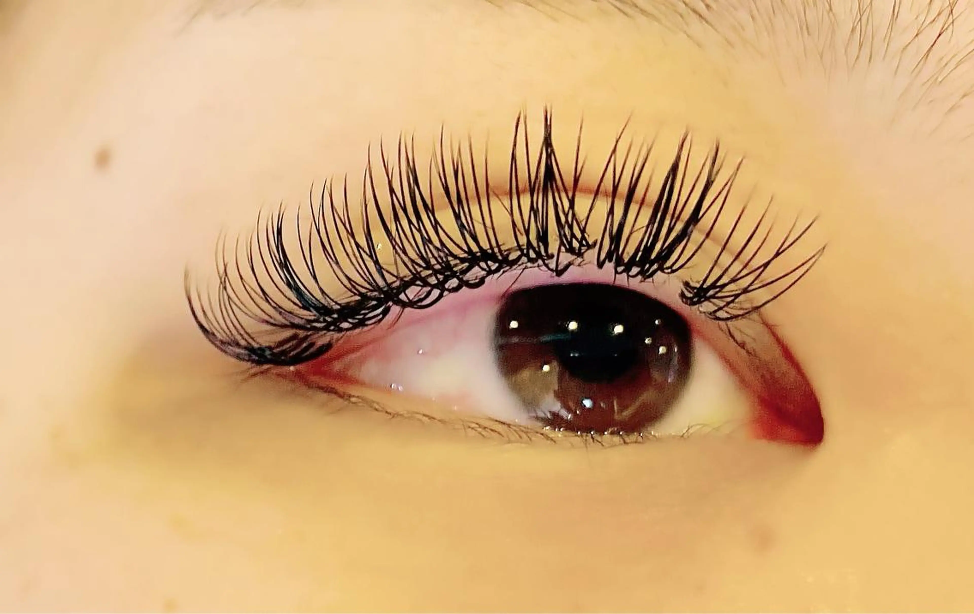 マツエク・マツパ キュート Butterfly武蔵小杉所属・Butterfly 加藤のマツエク・マツパデザイン