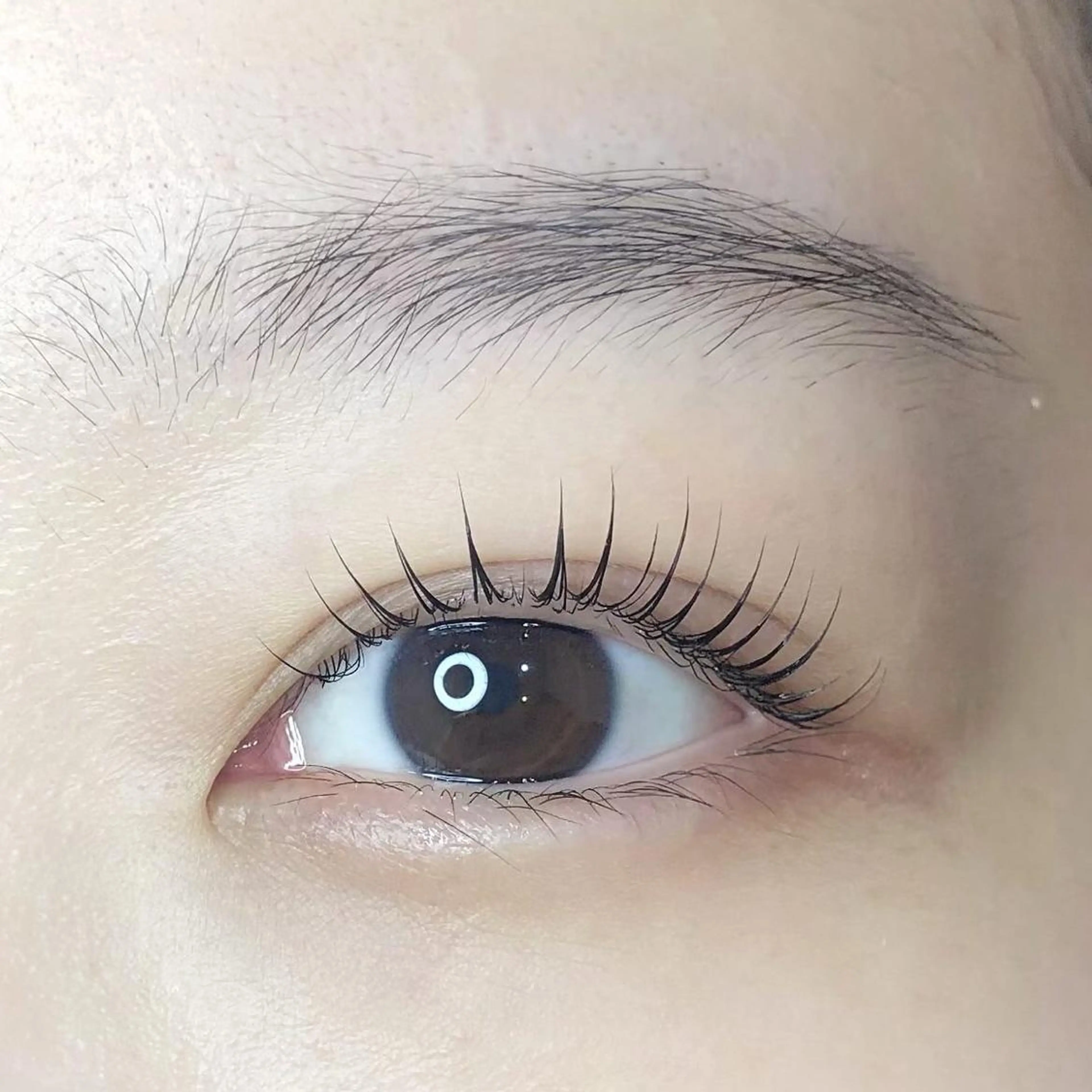 【ミニモ限定パリジェンヌラッシュリフトorまつ毛パーマ＋下まつ毛エクステ20本】⭐️オフ無しの方の写真