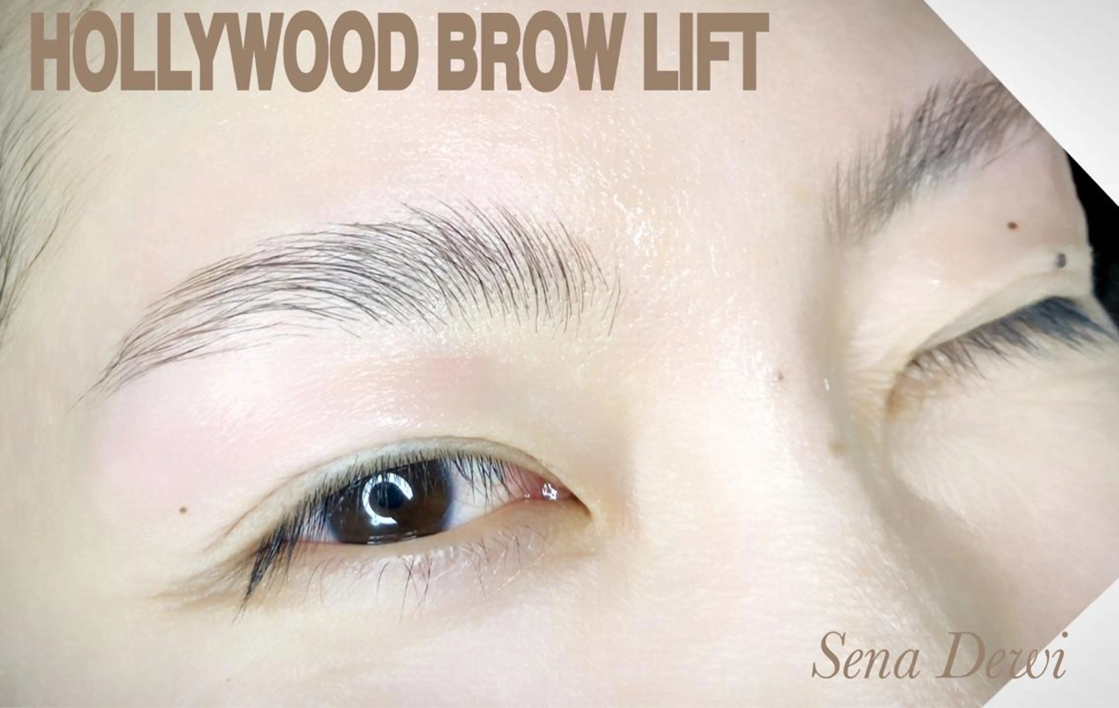 アイブロウ Sena Dewi Yukiの眉毛・アイブロウイメージ