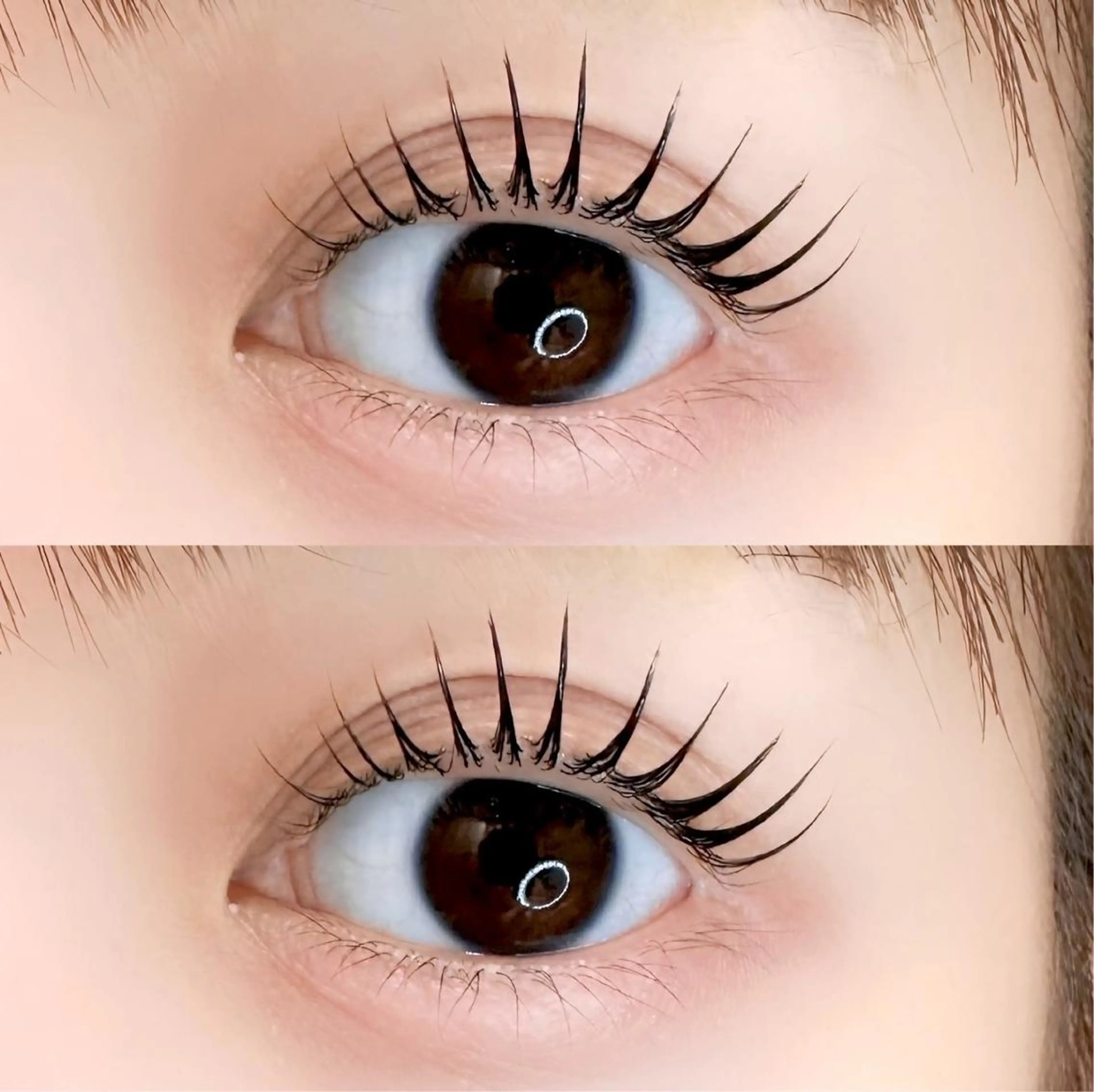 🌹プレミアムフルコース🌹韓国束感まつ毛パーマ🇰🇷✨{コーティング+アイシャンプー+トリートメント付}✨の写真