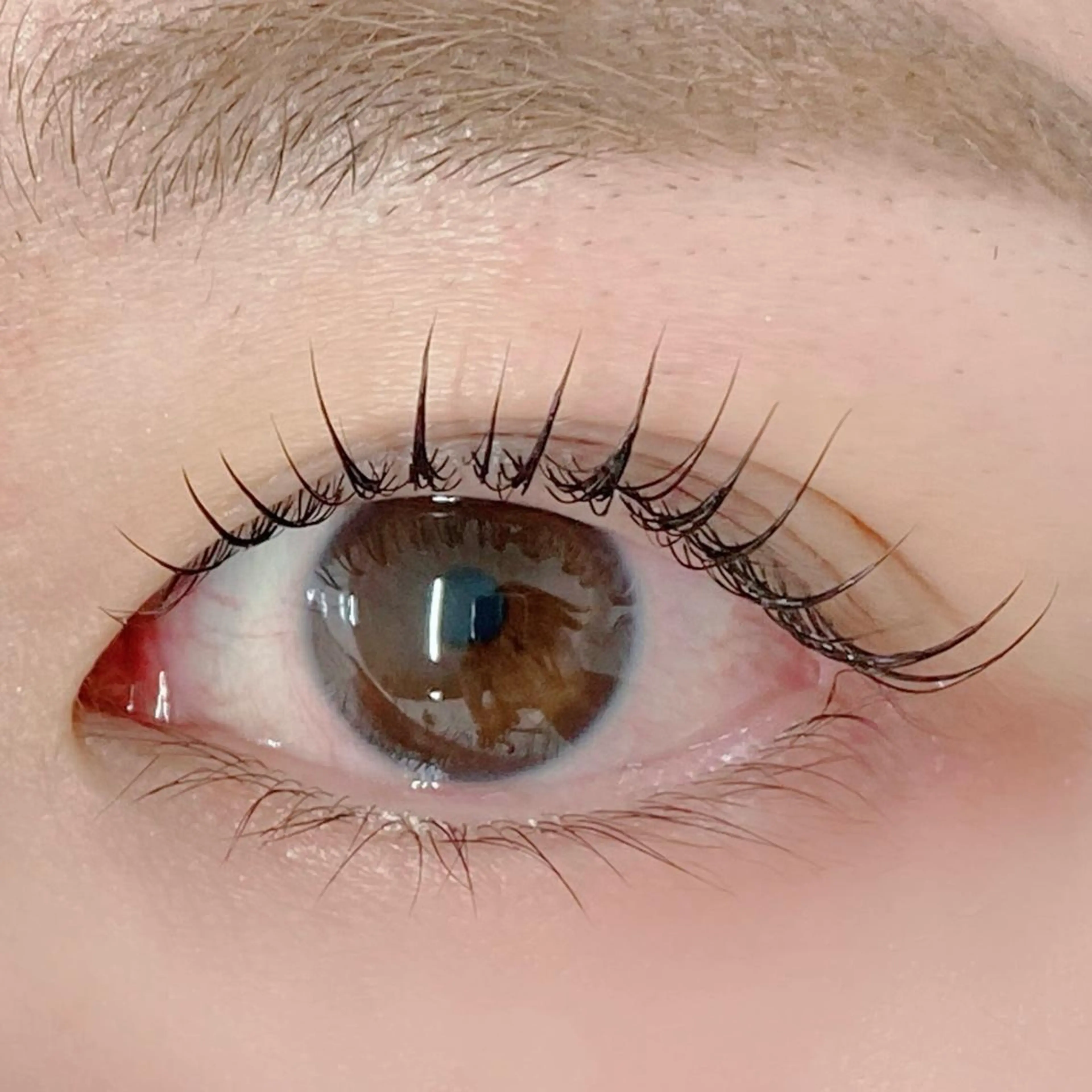 マツエク・マツパ AIRISU𓍯 eyelashのマツエク・マツパデザイン