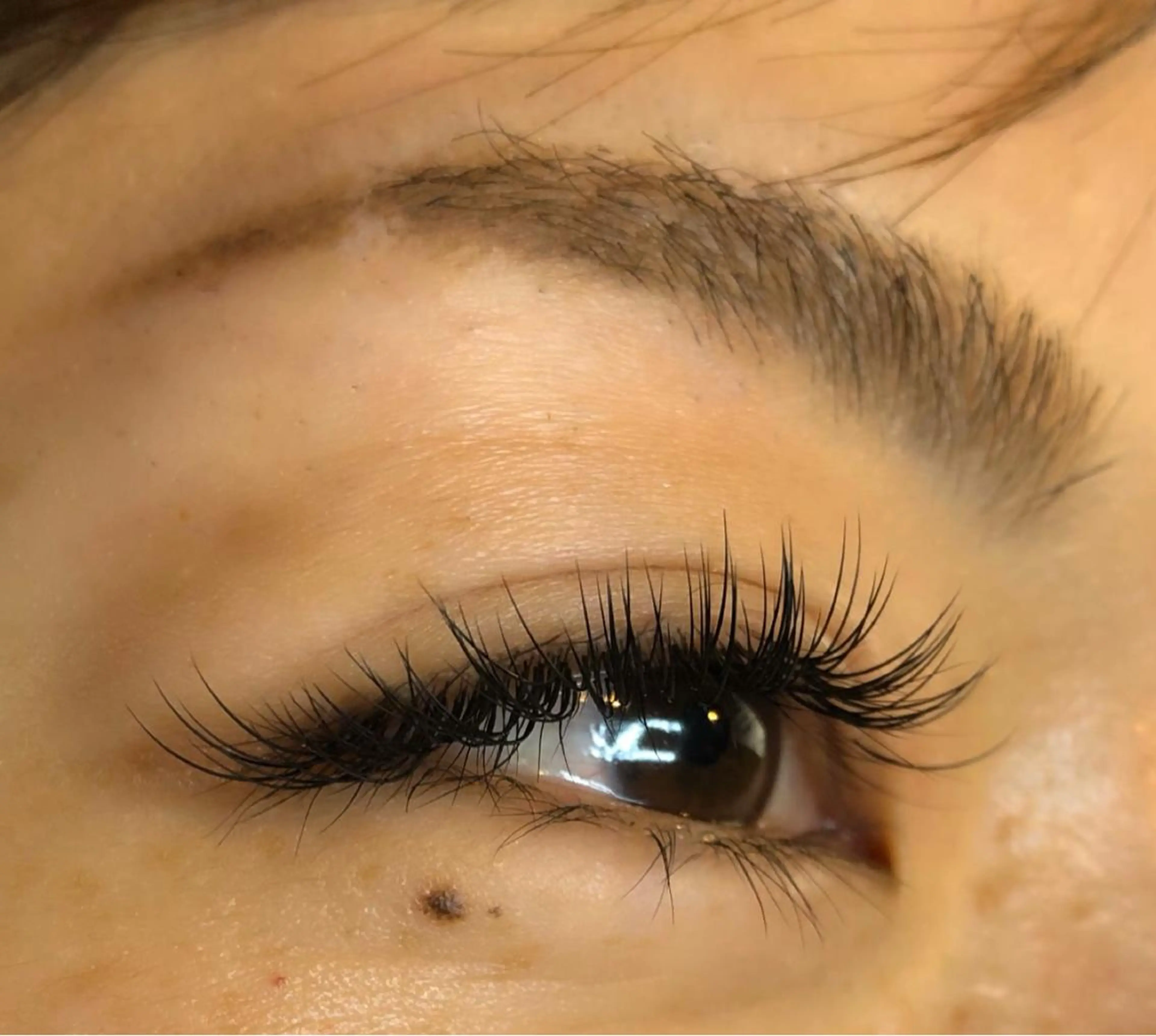 [全員]💚3回目以降​〜​ずっと使える マツエク 120本の写真