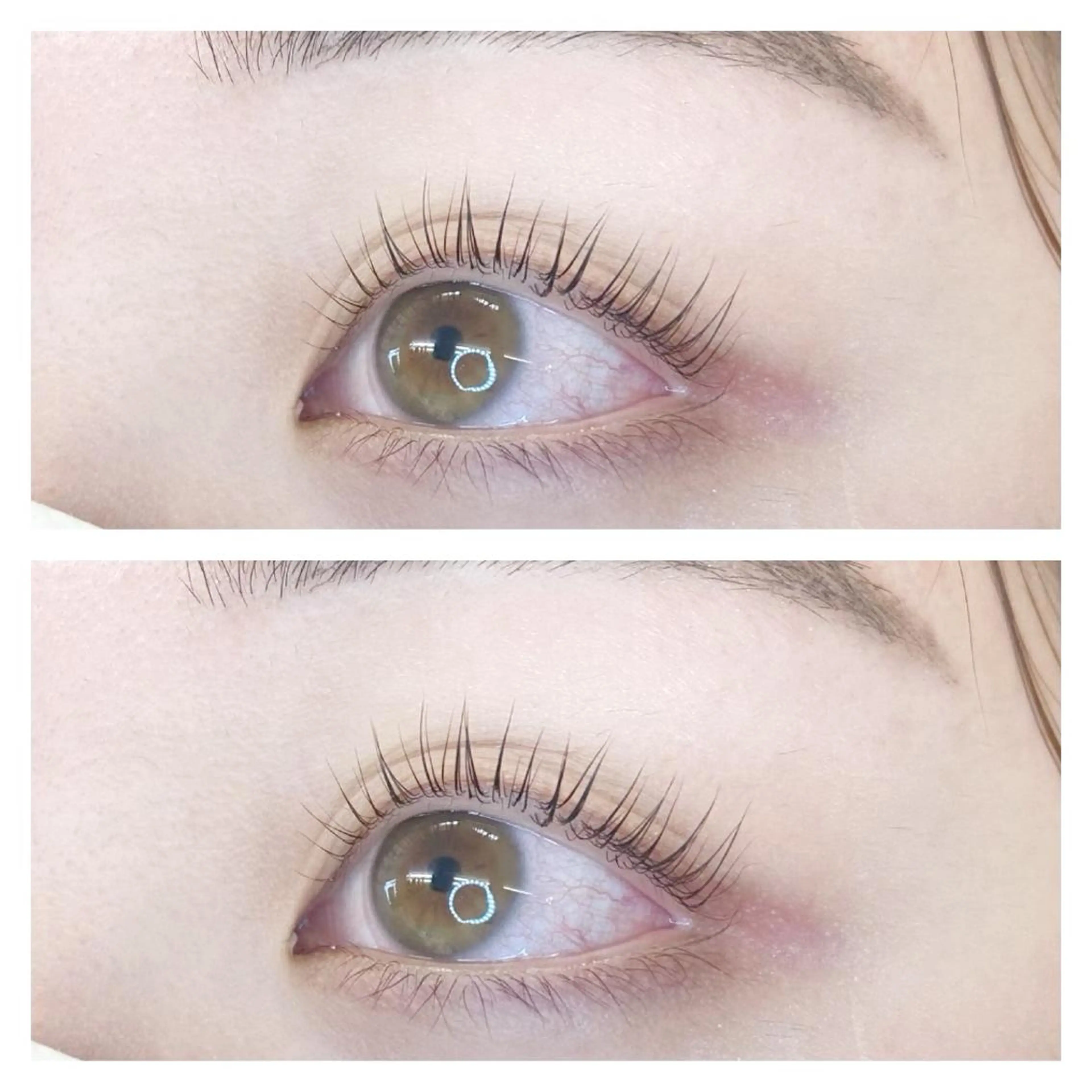 【2名限定！】パリジェンヌラッシュリフト（上）￥4980➡￥2980エクステオフなしの写真